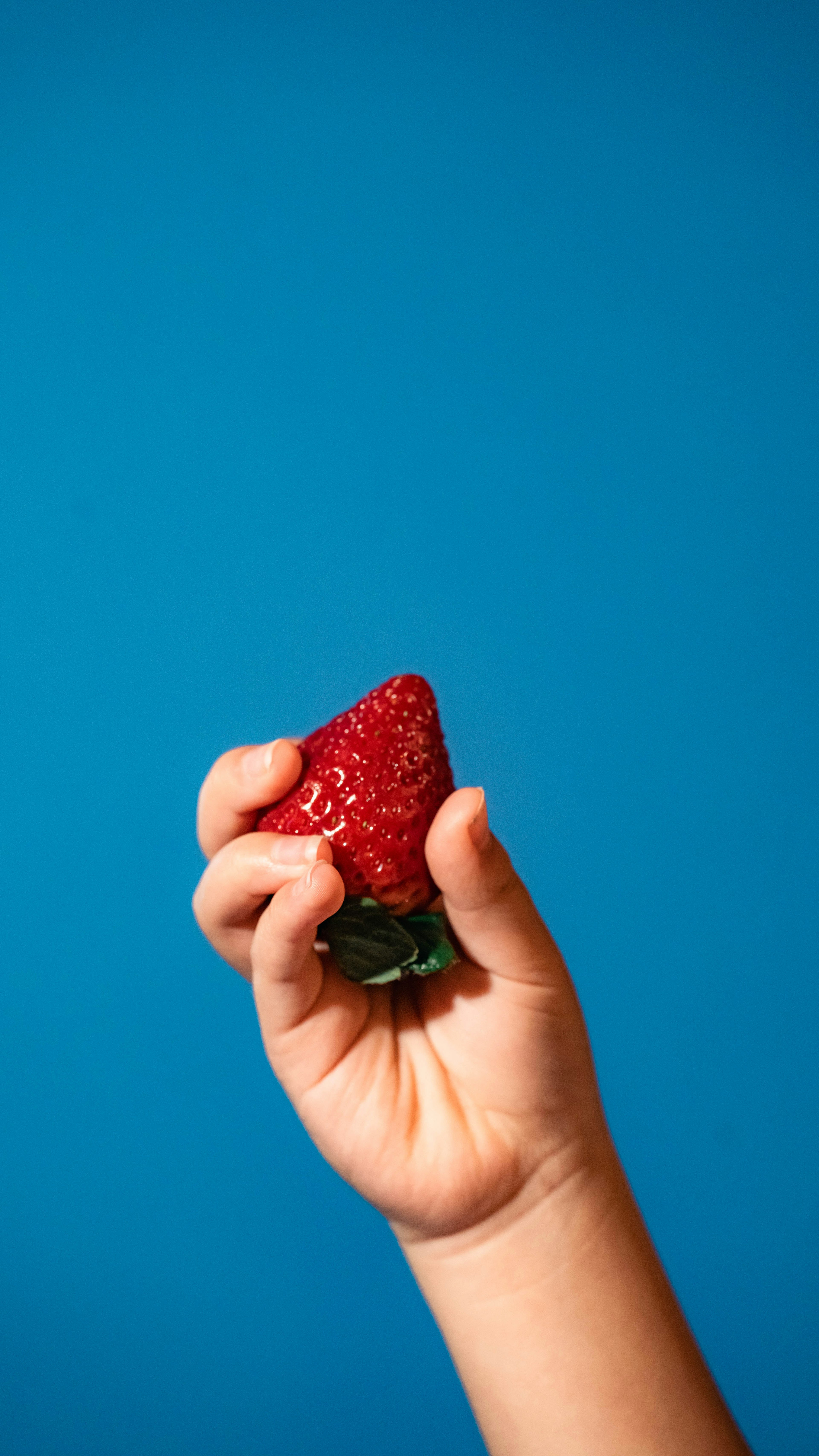 Main tenant une fraise sur fond bleu