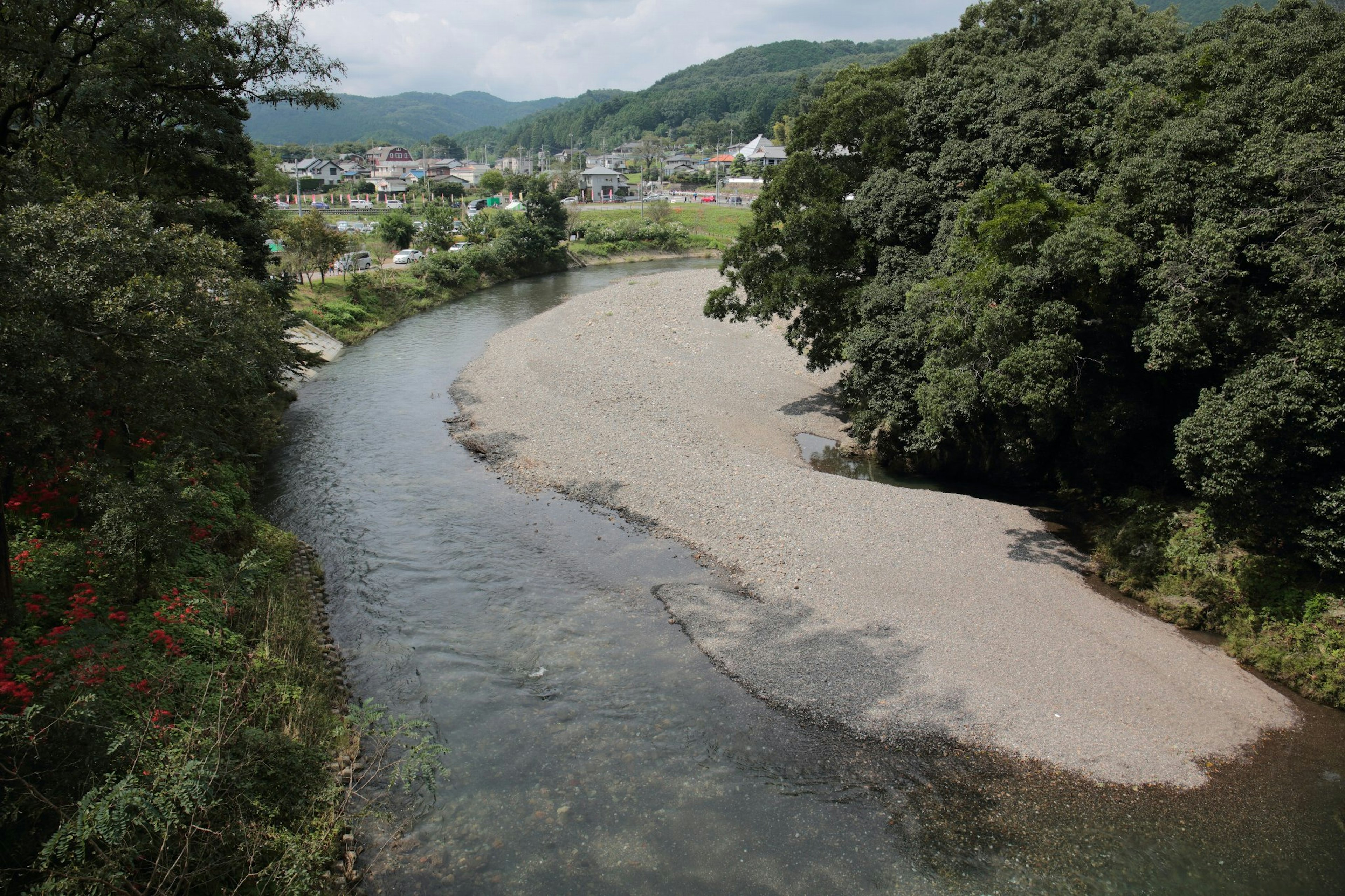 Pemandangan sungai yang indah dikelilingi pepohonan hijau subur dengan aliran lembut dan keindahan alam