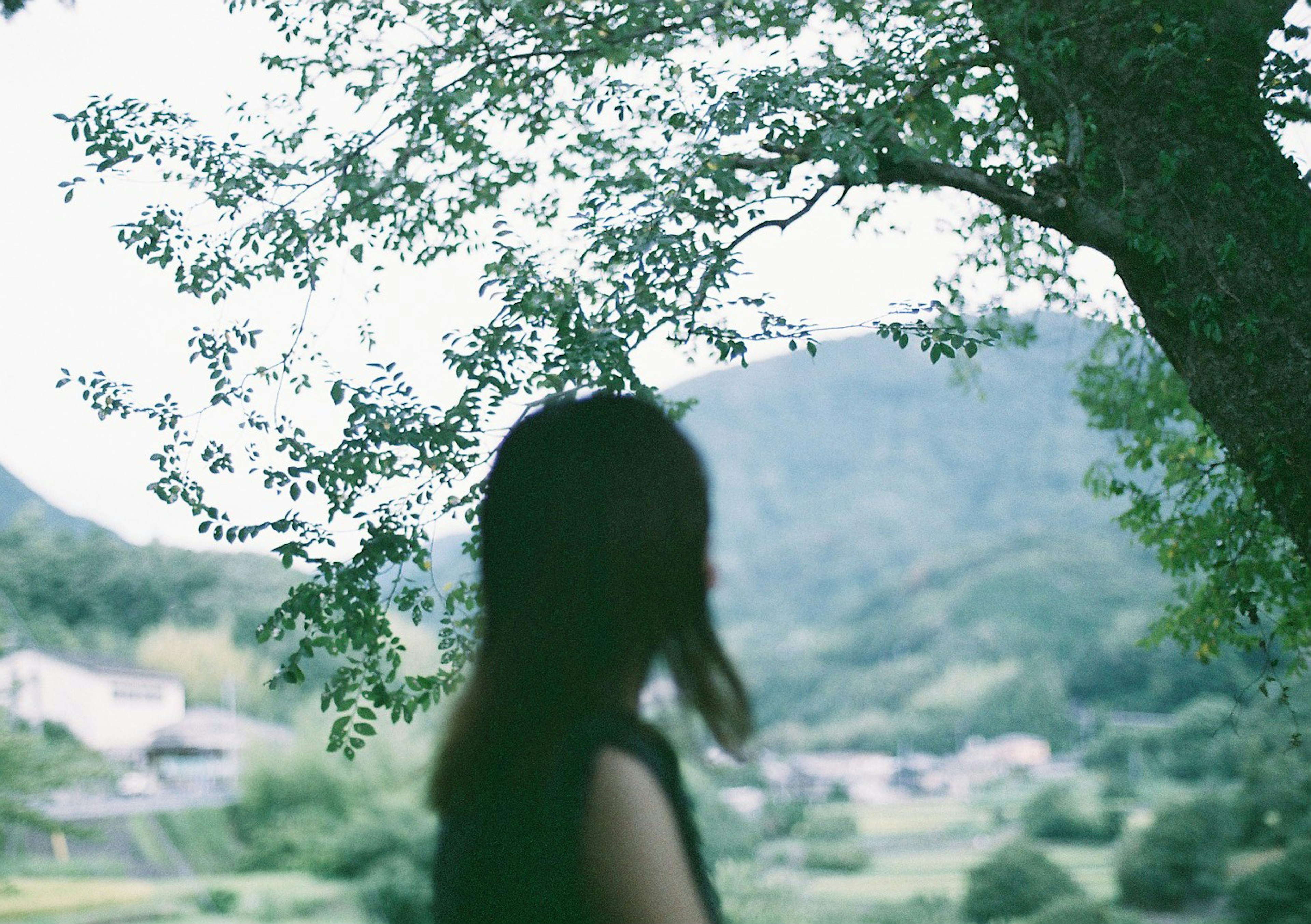 A woman standing under a tree with mountains and a village in the background