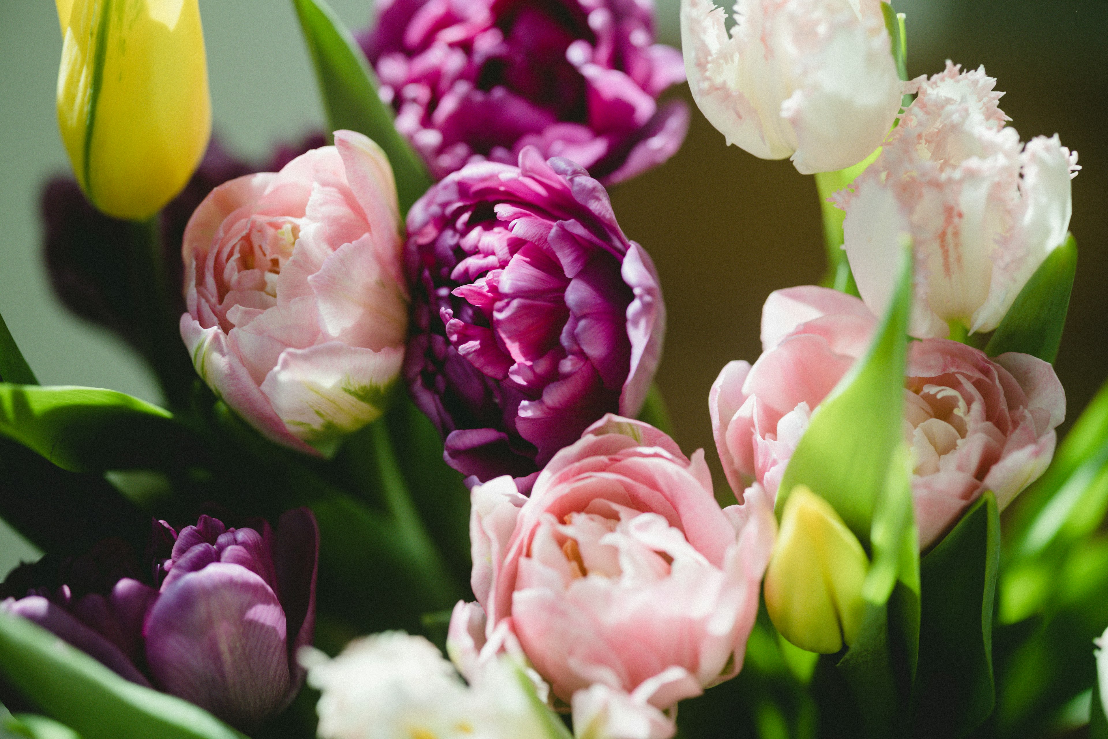 Ein schöner Strauß aus bunten Tulpen und Blumen