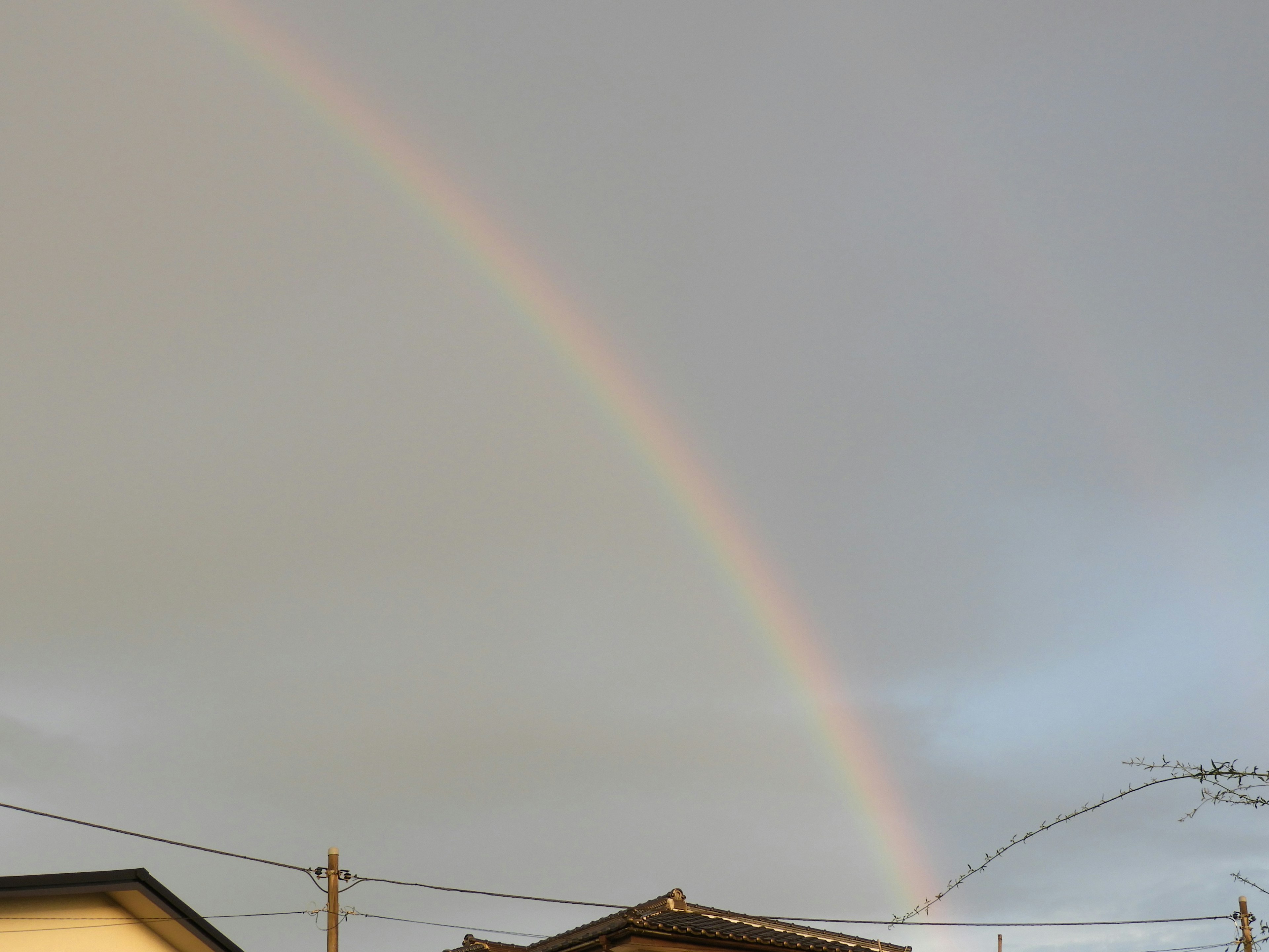 雨上がりの空に架かる虹と住宅の風景