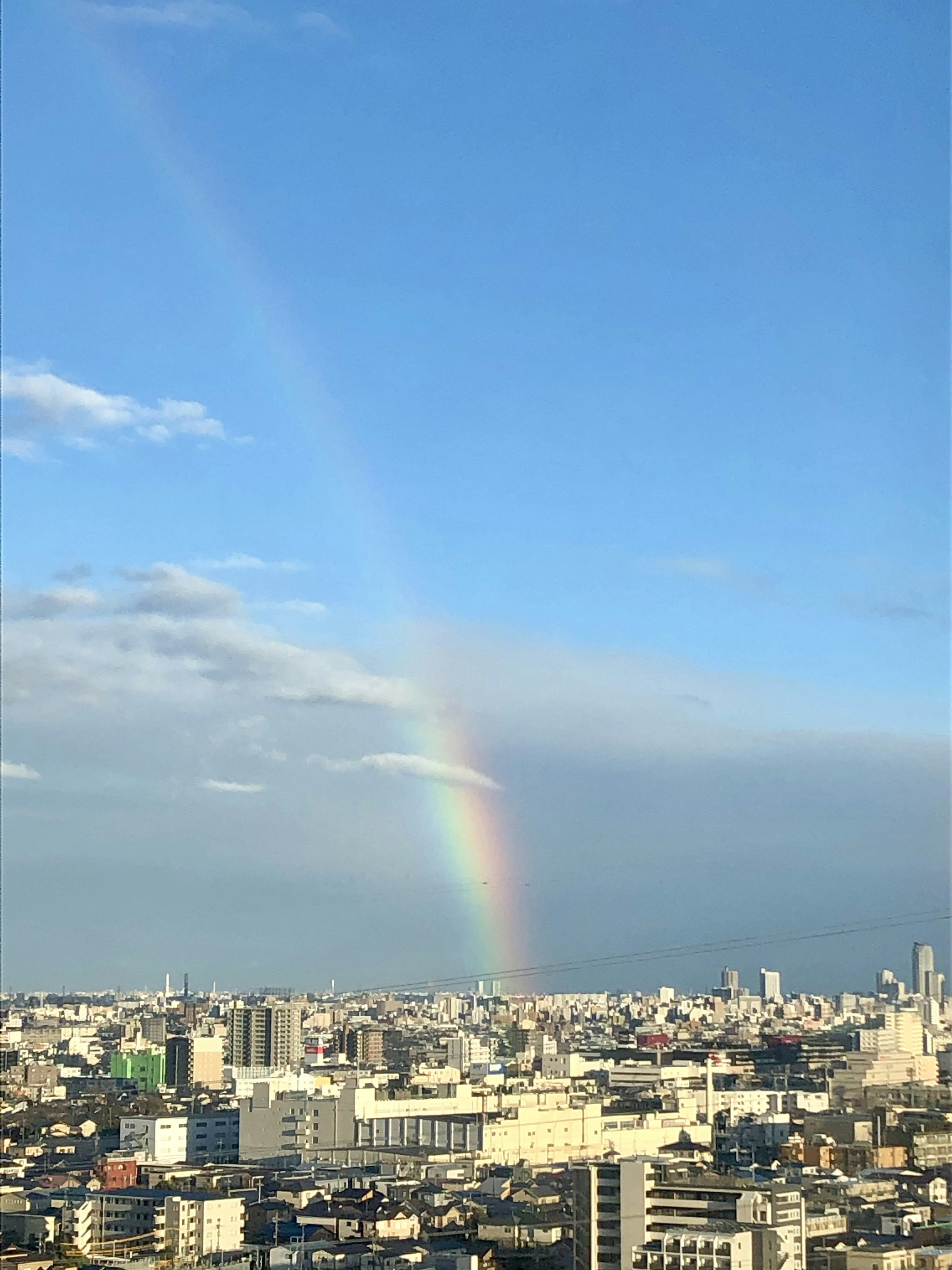 東京の街並みを背景にした美しい虹