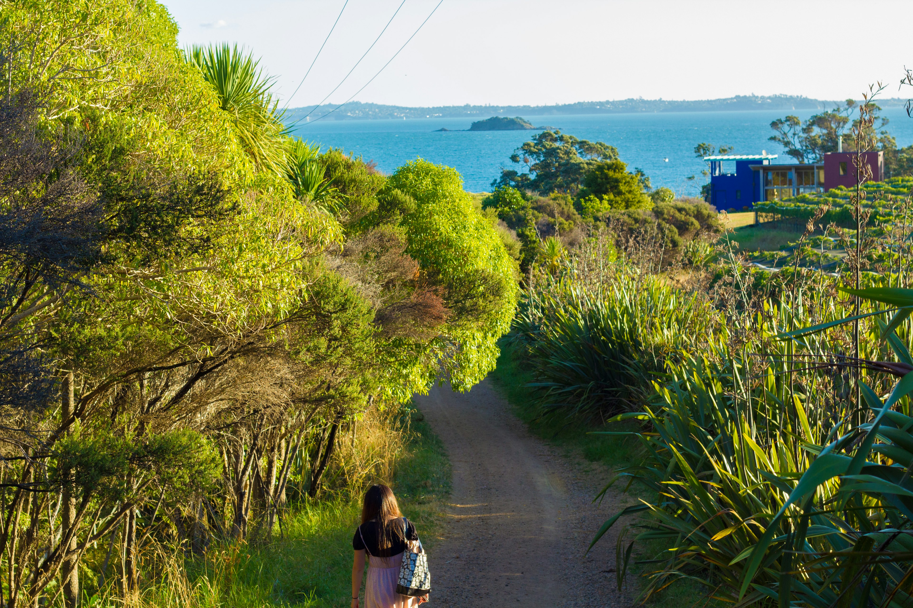 A woman walking along a path overlooking the sea Lush greenery and blue water in the background