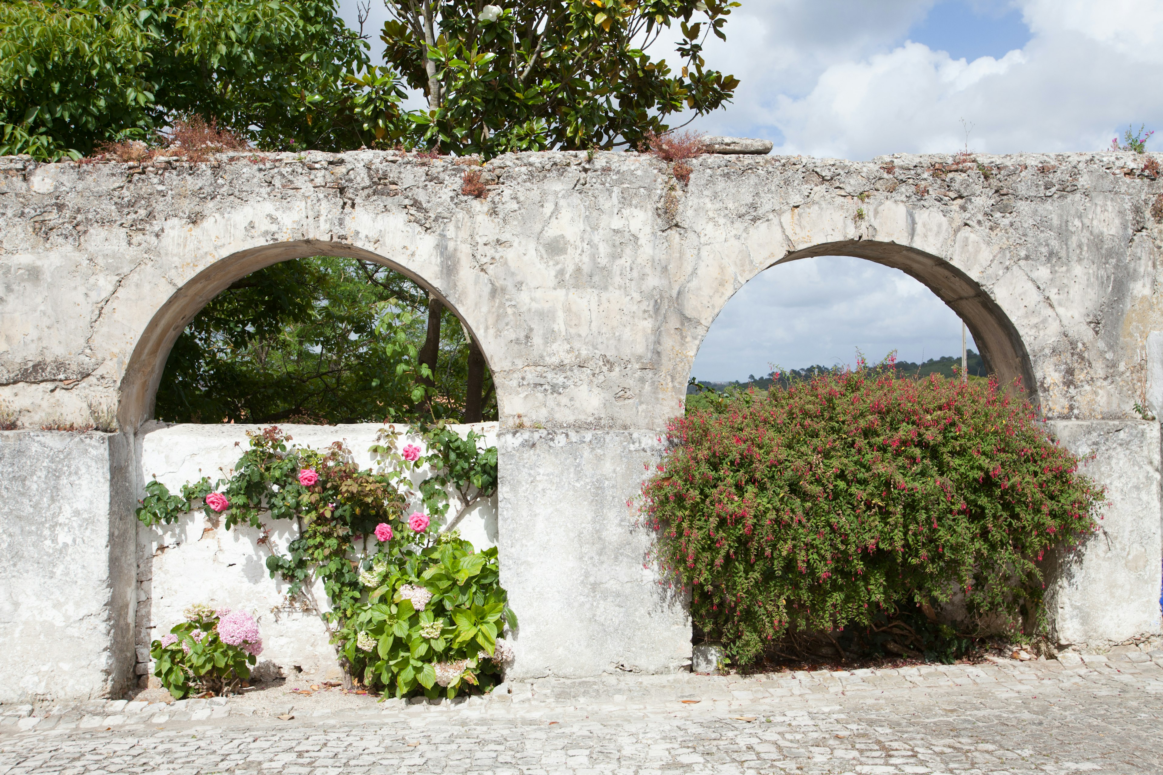 Vecchia parete di pietra con finestre ad arco e fiori in fiore