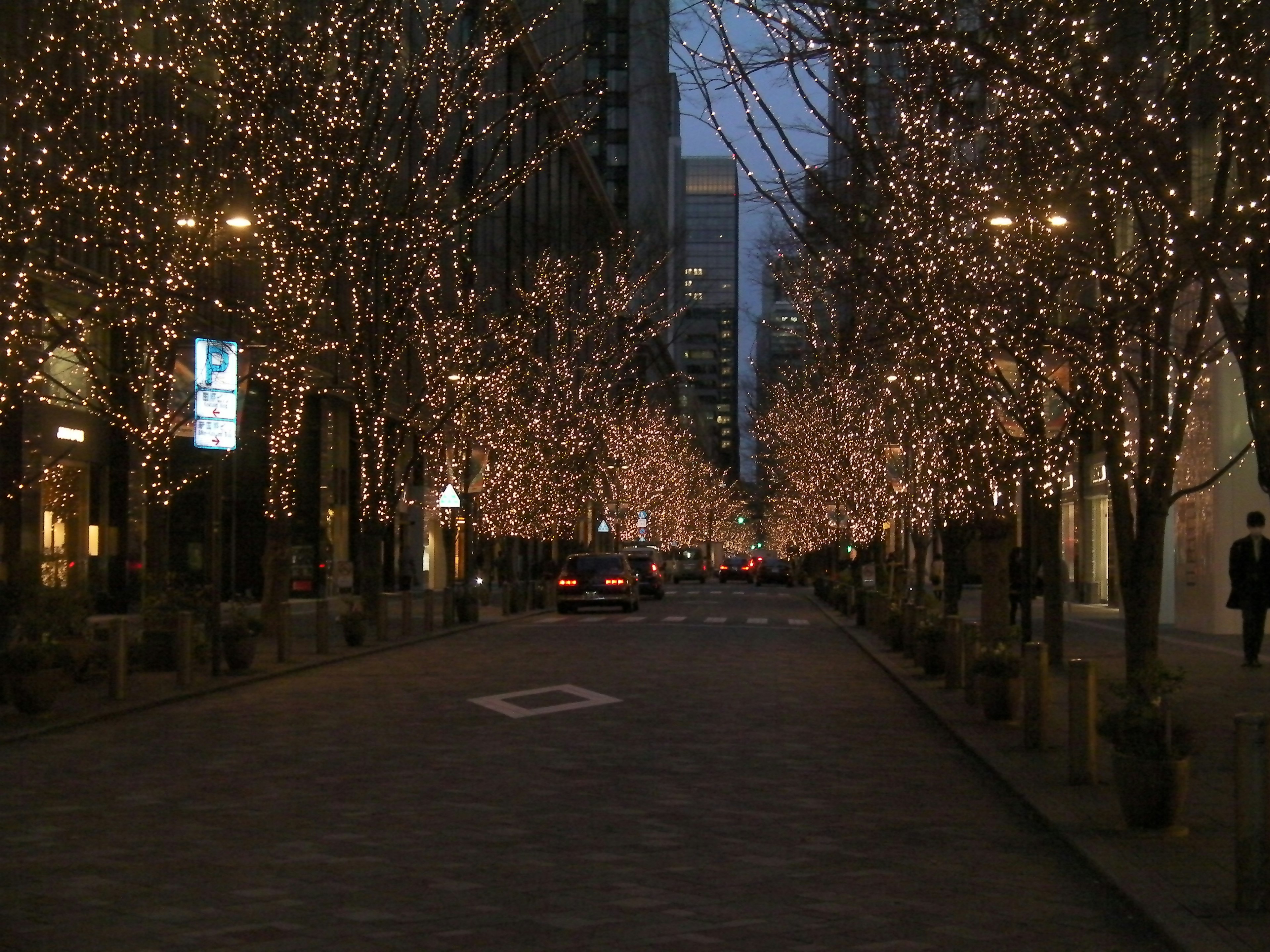 Street lined with illuminated trees at night