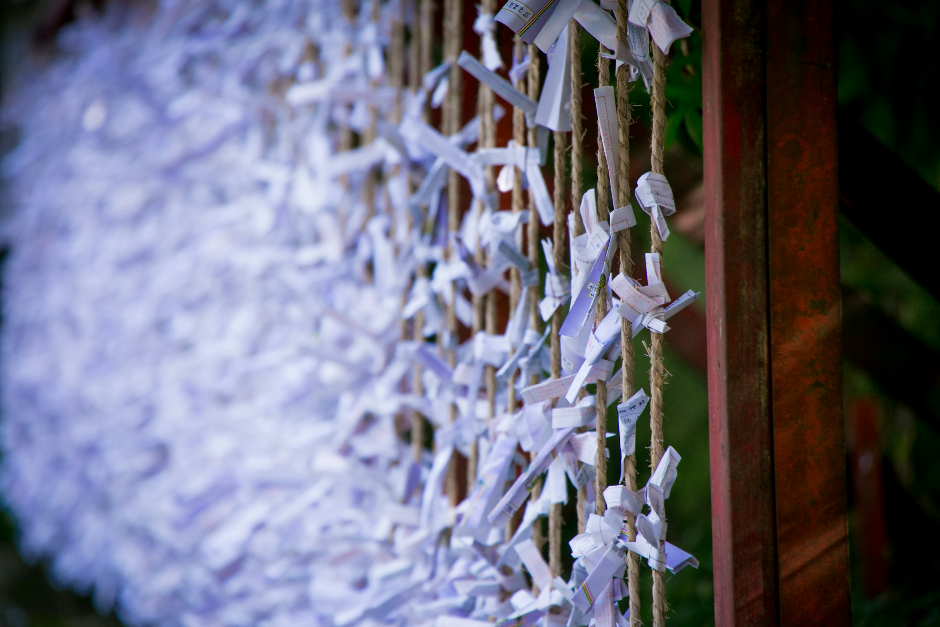 A scene with numerous white paper strips tied together