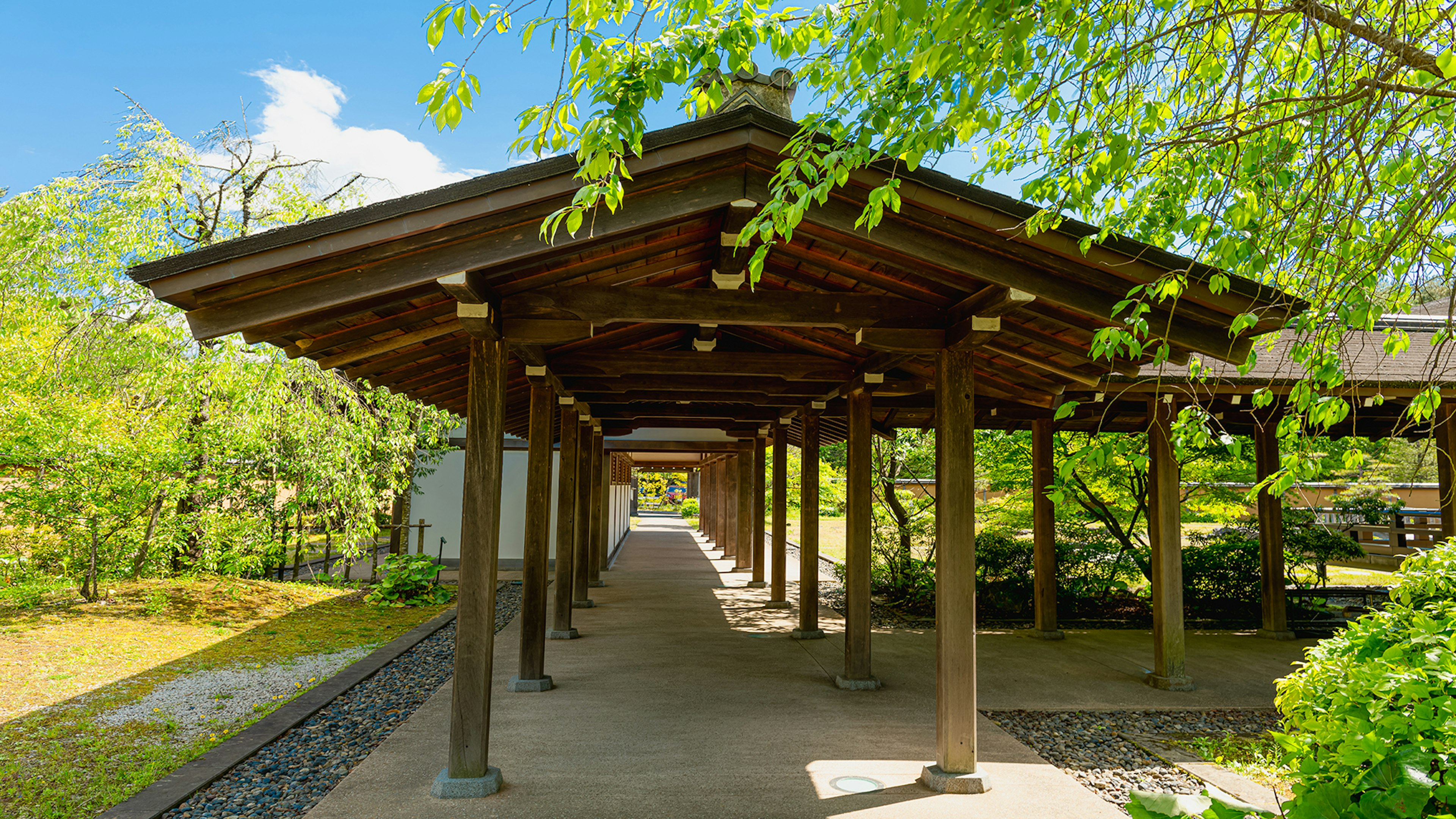 Wooden arcade walkway surrounded by green trees