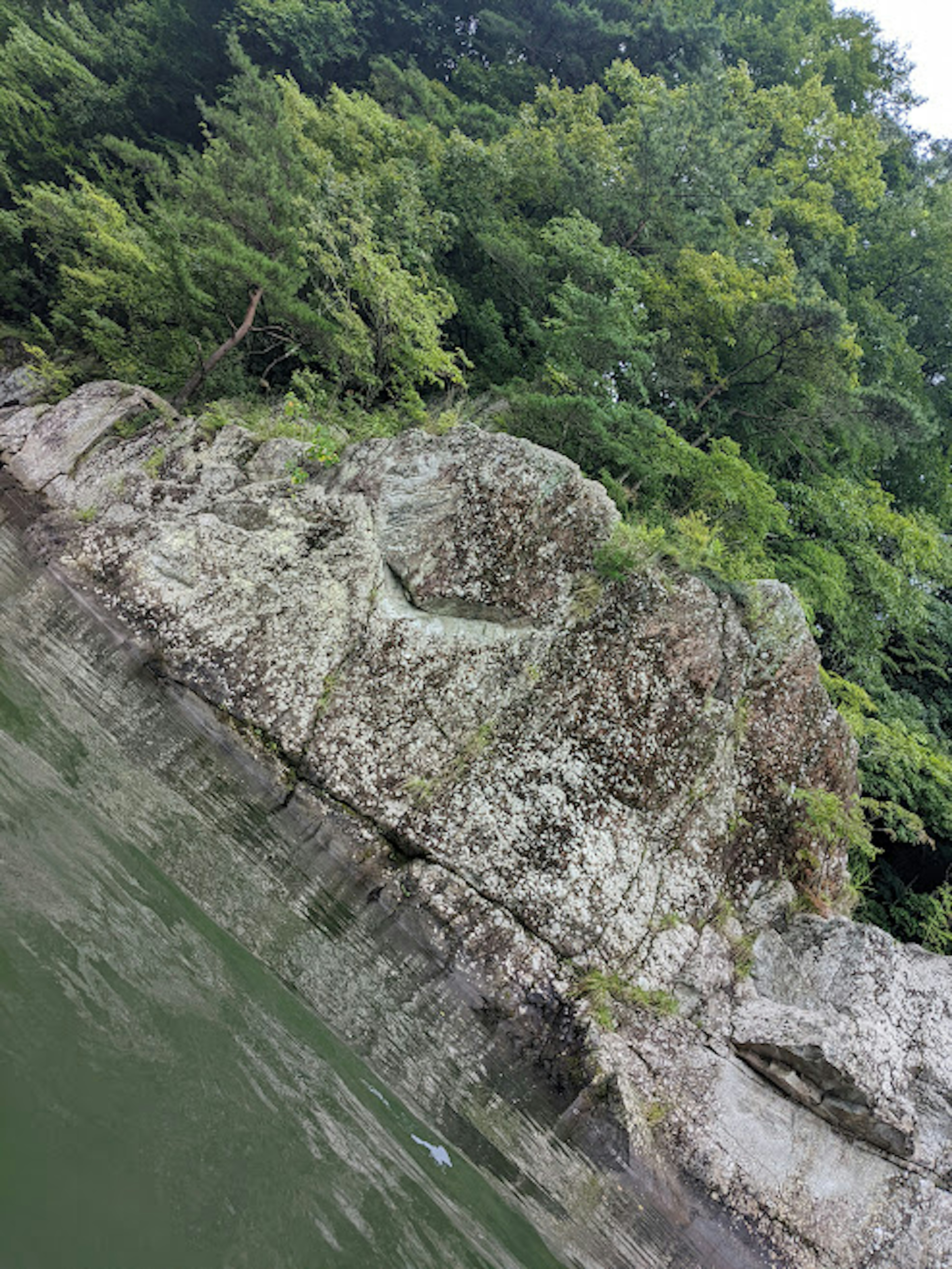 水辺にある大きな岩と緑の木々の景色