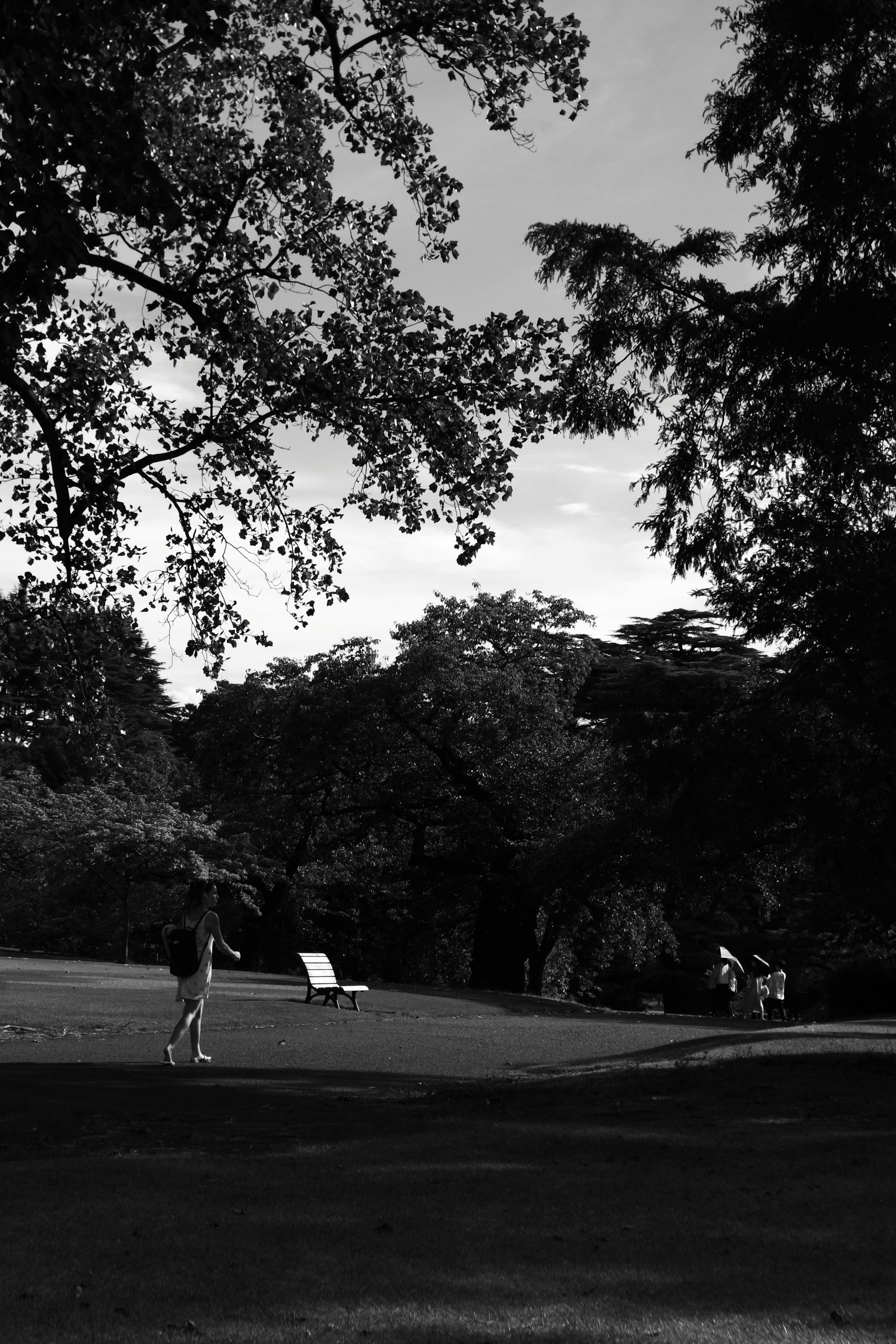 Scène de parc en noir et blanc avec des personnes marchant et des arbres