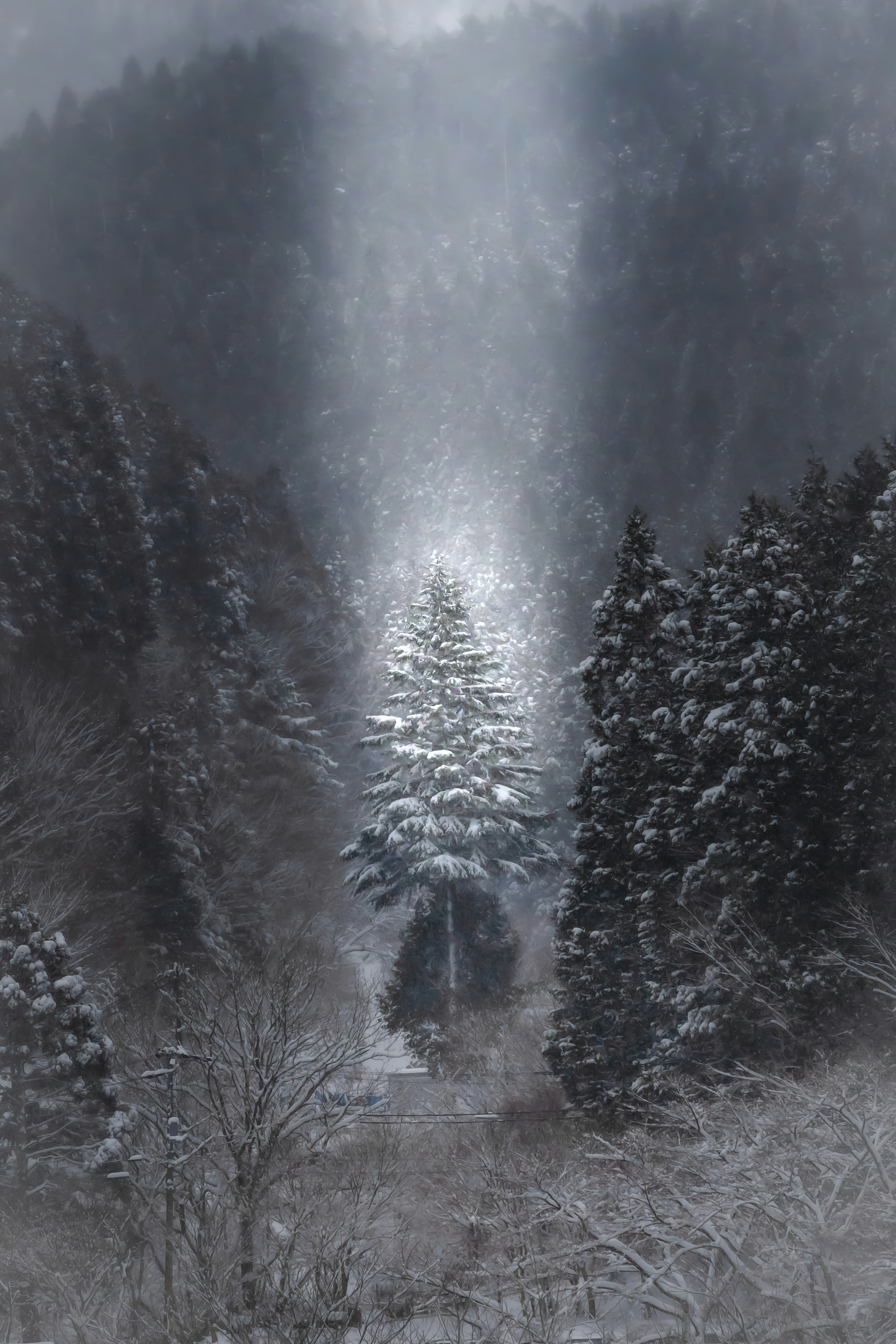 A large snow-covered tree standing among other trees in a misty landscape