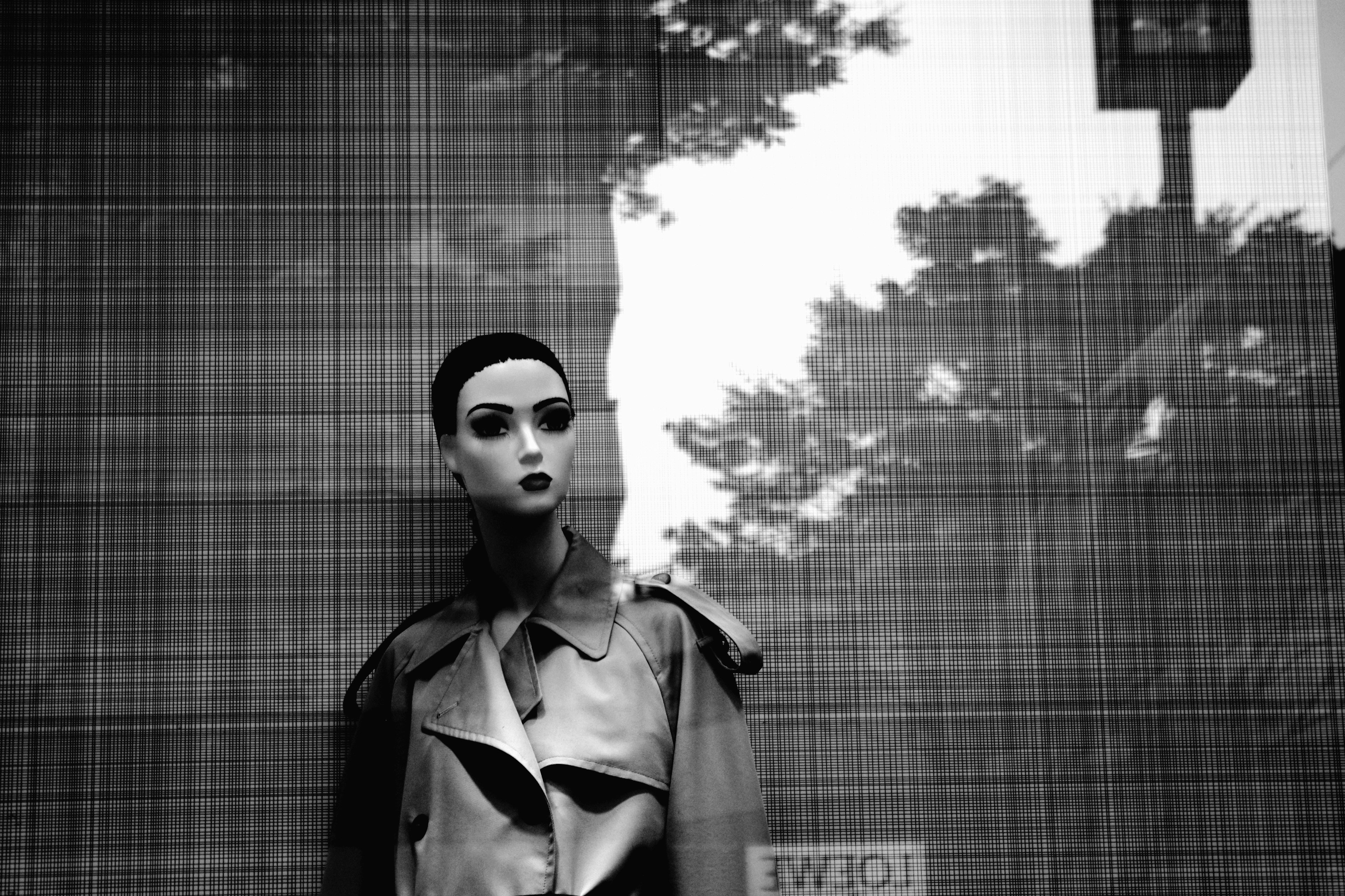 Un mannequin dans une vitrine en noir et blanc avec des reflets d'arbres voisins