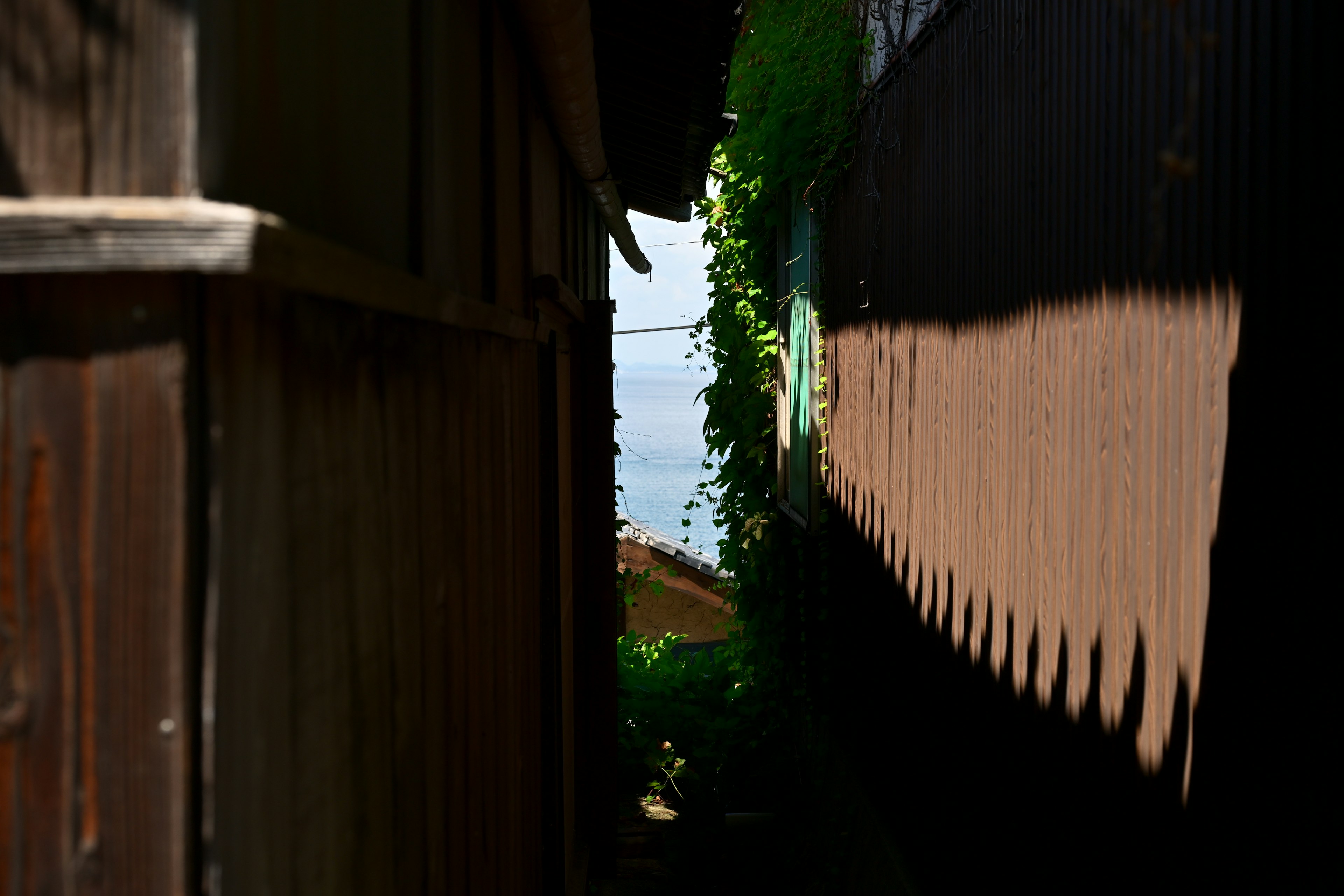 Passage étroit entre des murs en bois avec feuillage vert menant à une surface d'eau visible