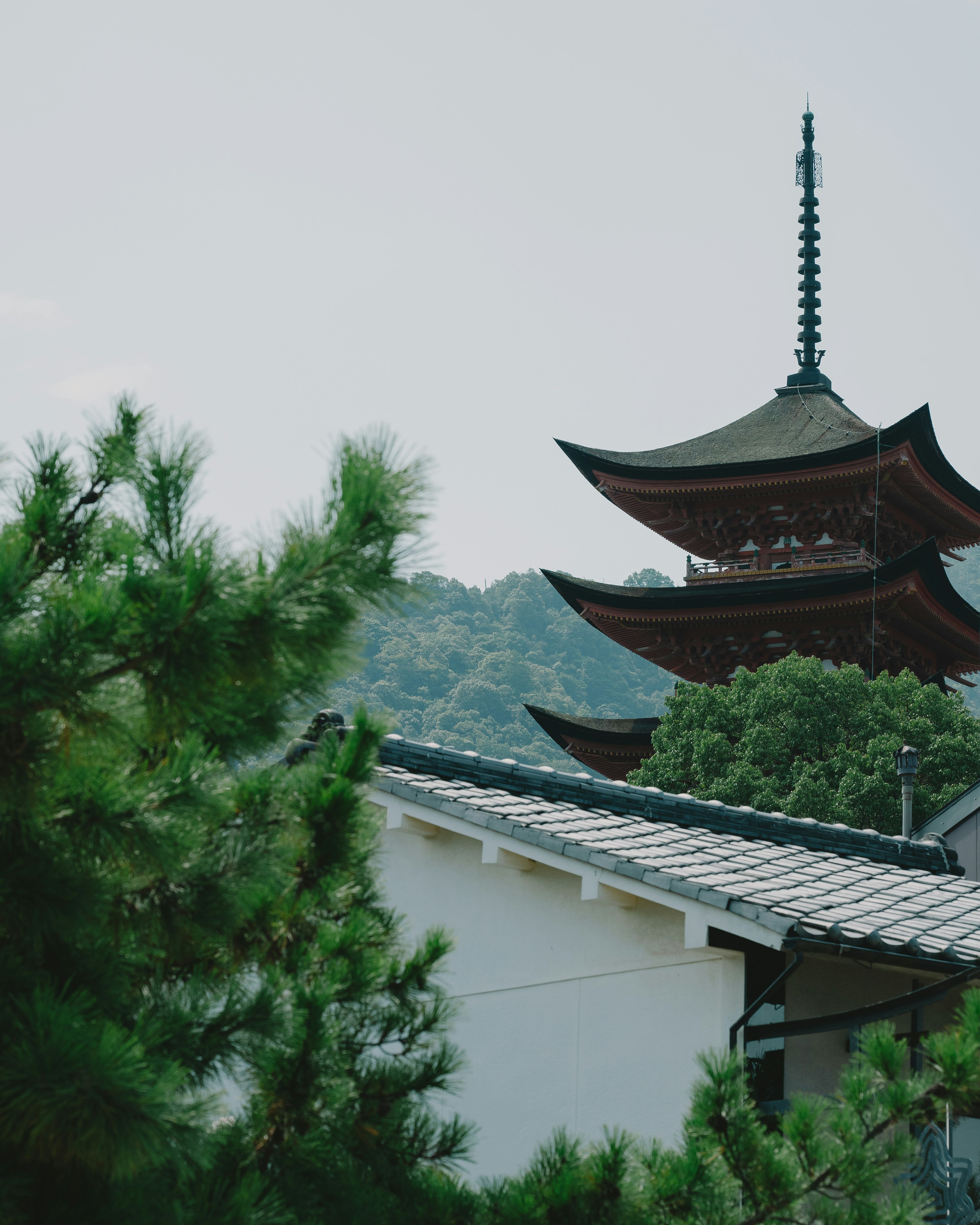 Japanische Pagode zwischen grünen Bäumen sichtbar