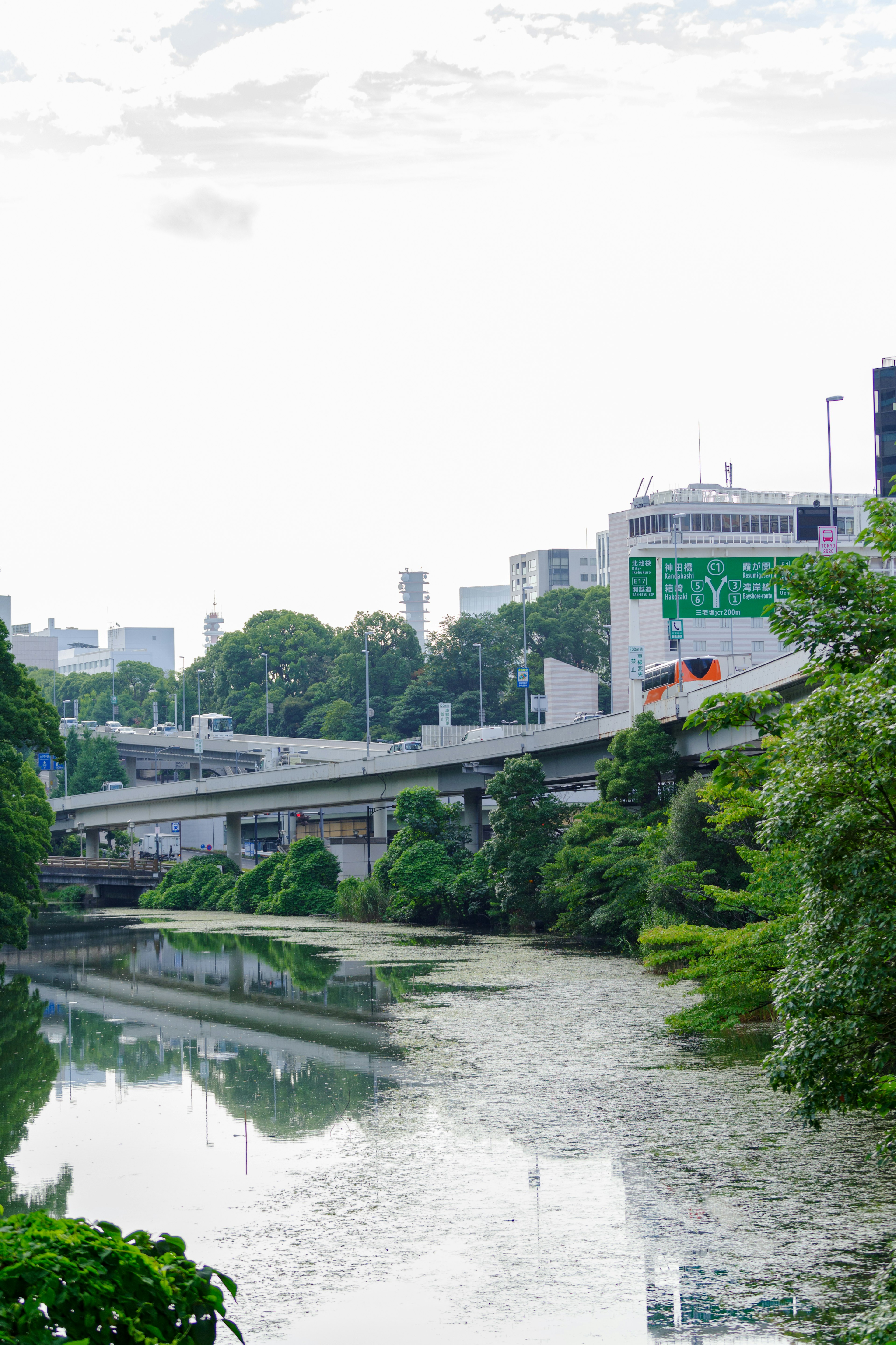 Paisaje urbano rodeado de río y vegetación con un puente y edificios