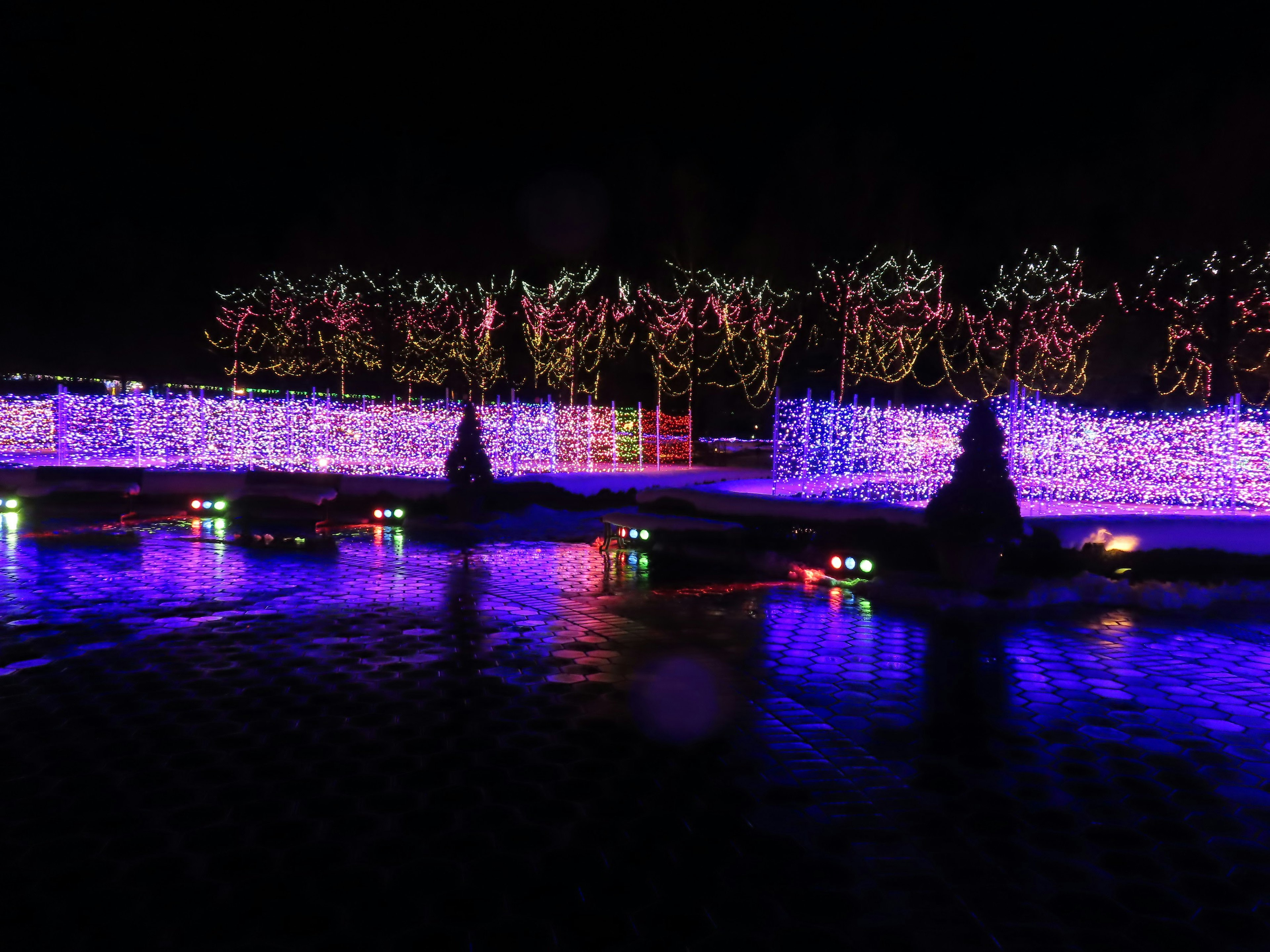 Éclairage coloré et arbres décorés brillants dans la scène nocturne