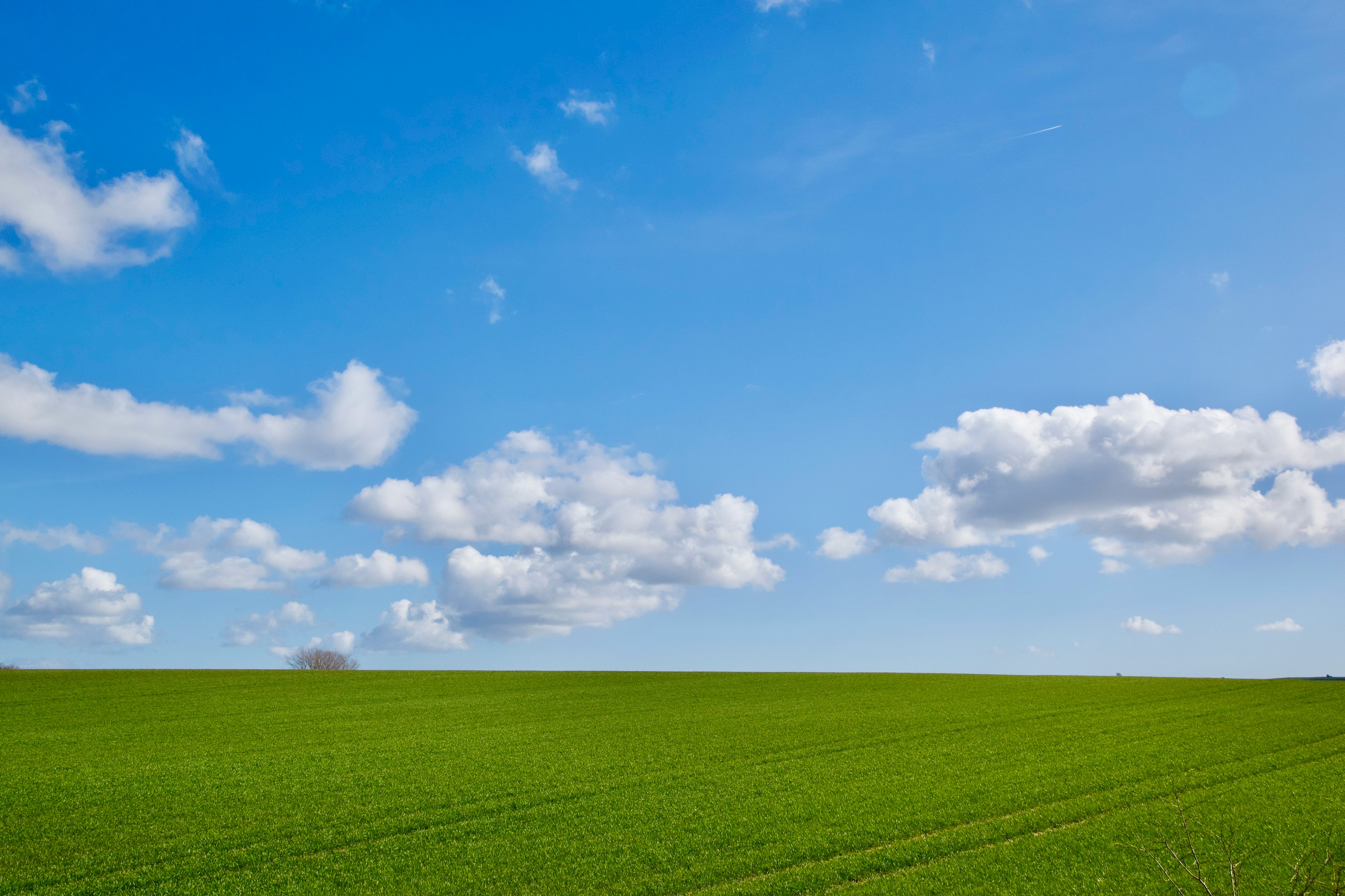 Vast green field under a bright blue sky with fluffy white clouds
