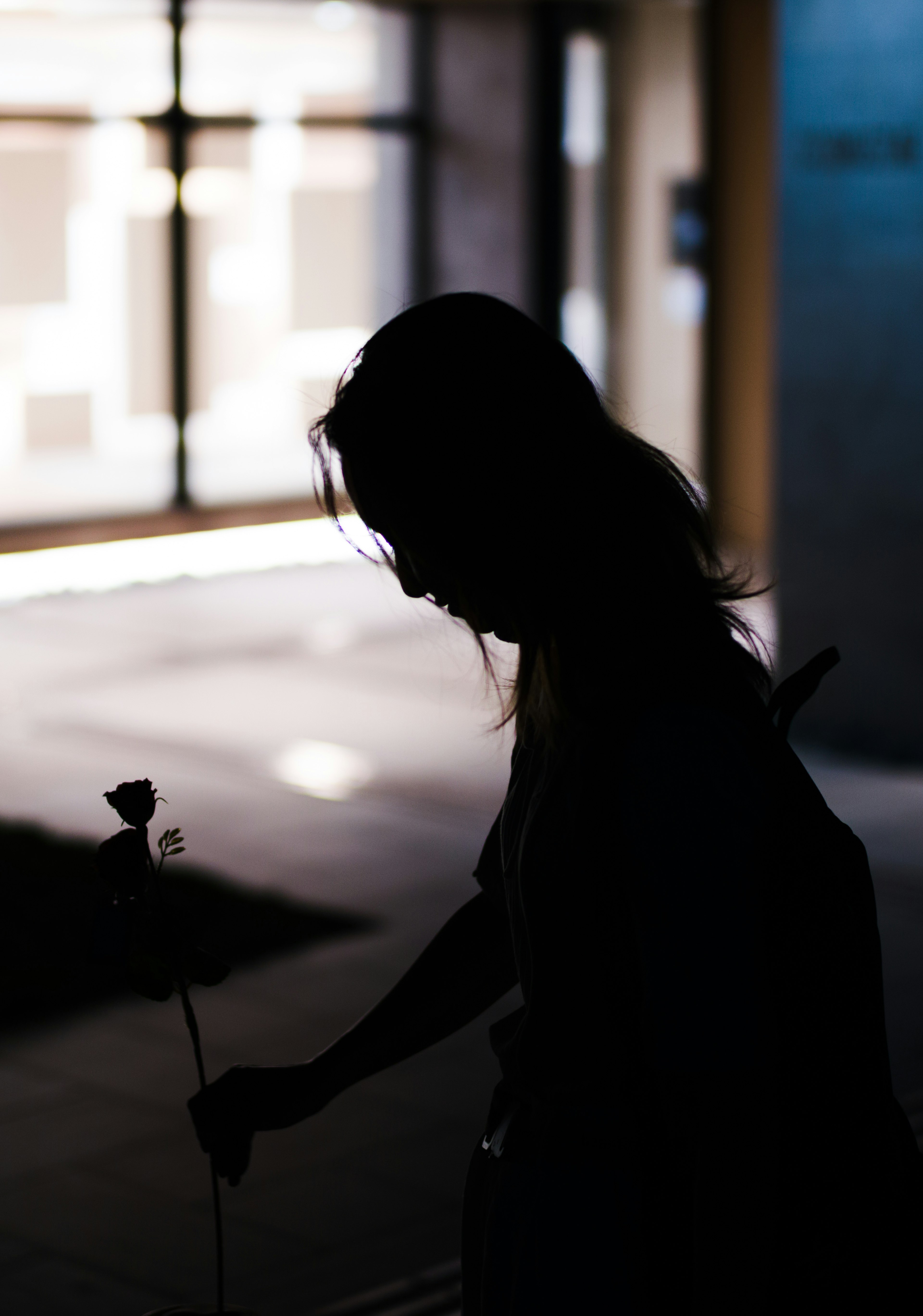 シルエットの女性が花を持っている背景にはぼんやりした室内の光