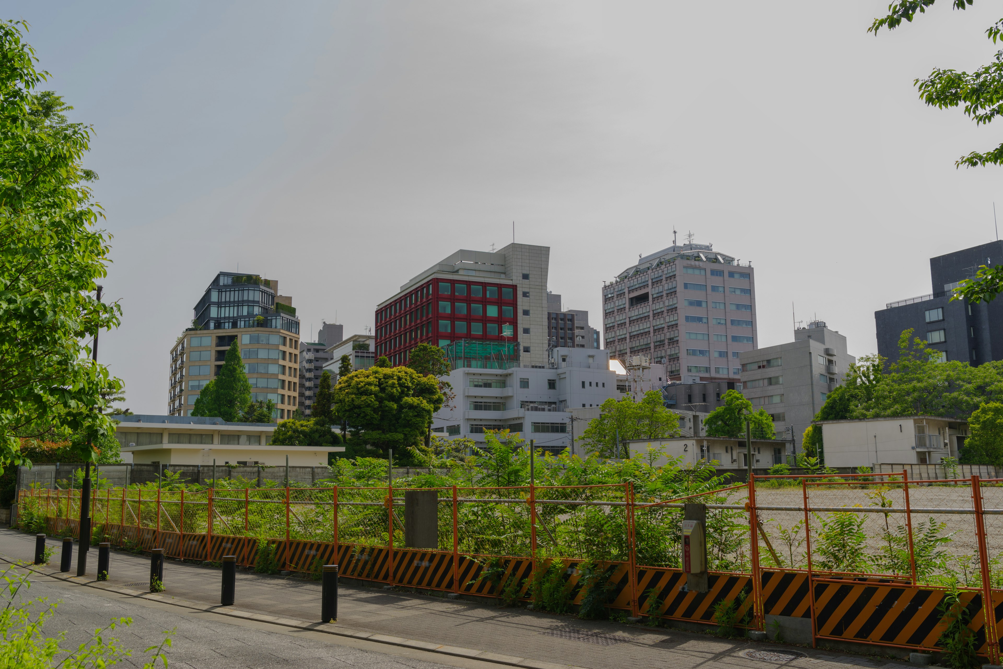 都市のビル群と緑の植物が調和する風景