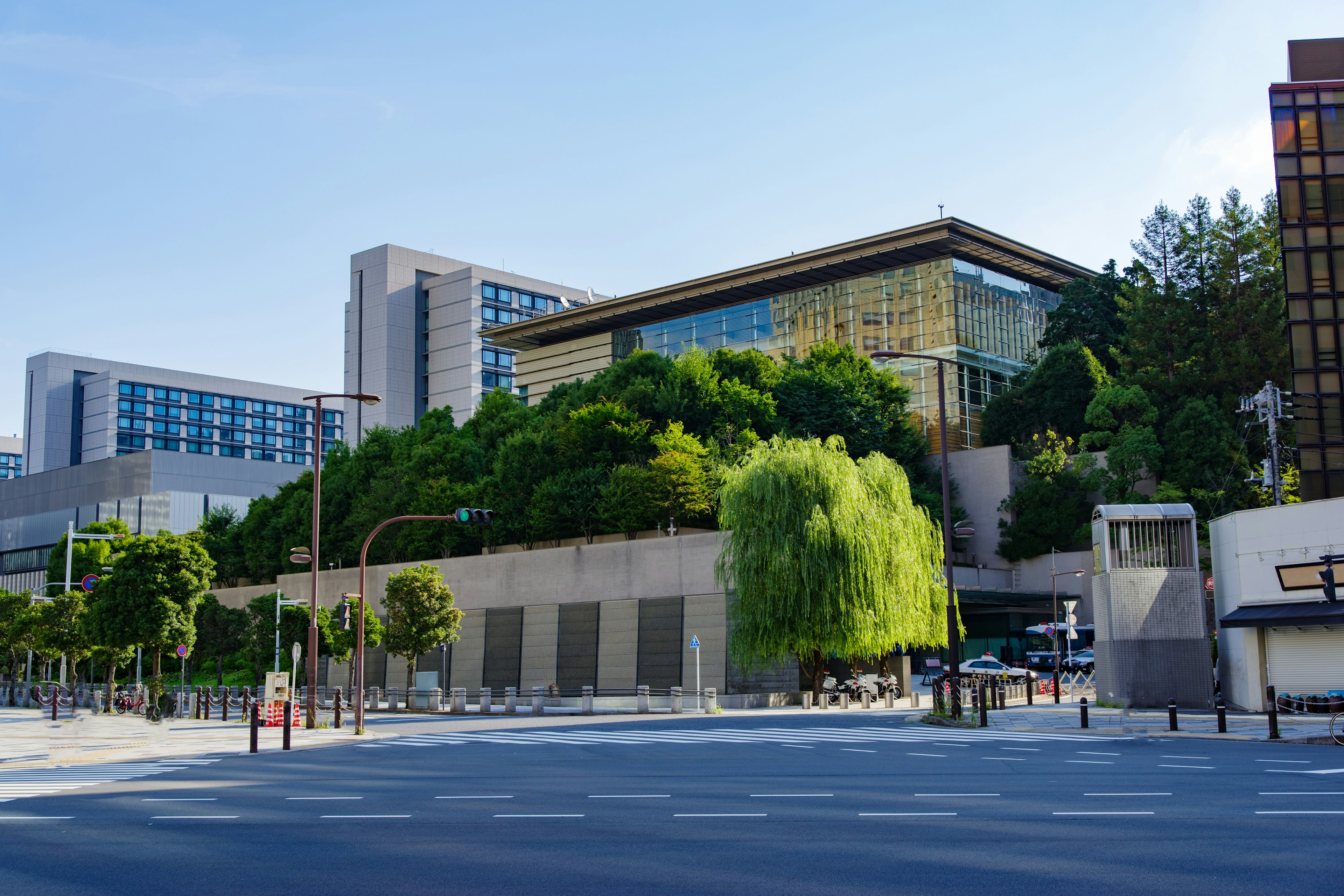 Modern building surrounded by lush green trees