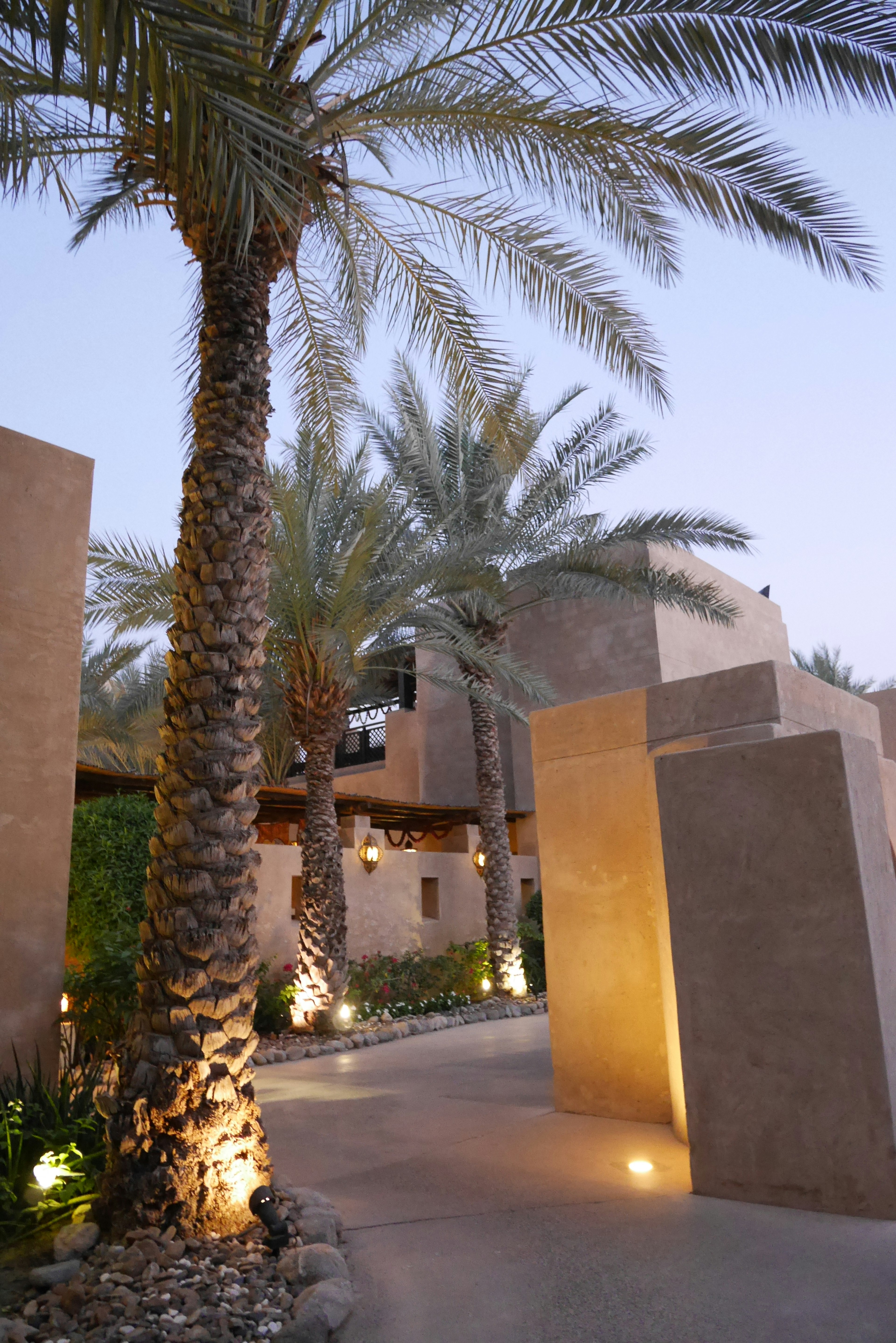 Resort entrance with palm trees and ambient lighting