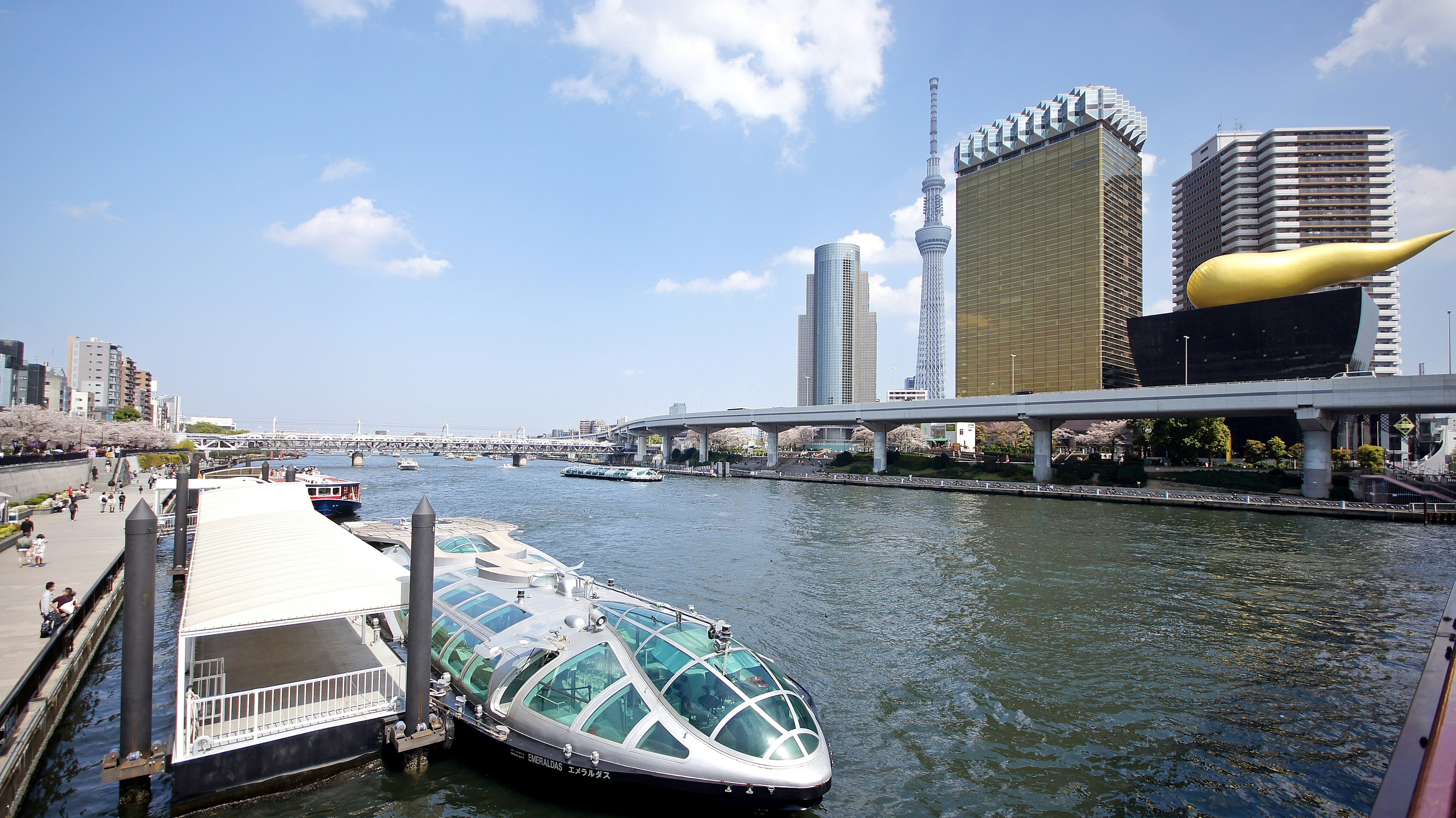 Vista del río Sumida con la Tokyo Skytree y edificios únicos