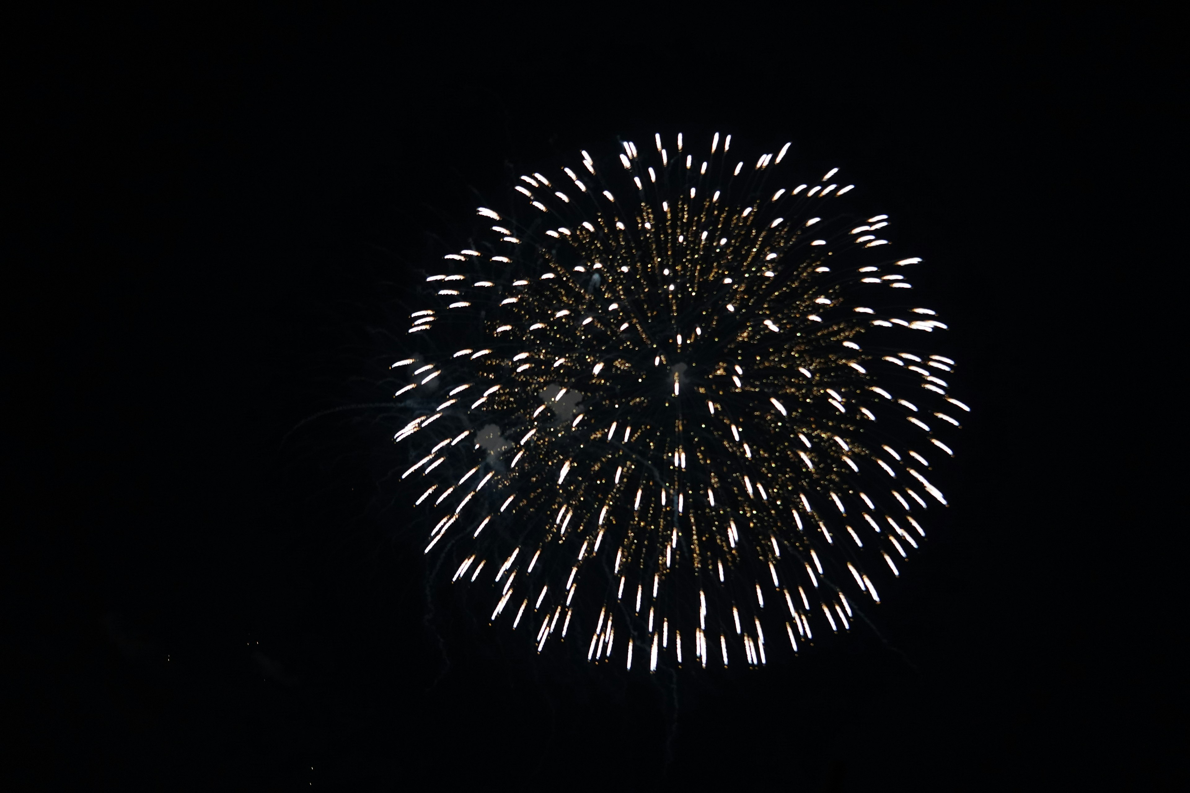 A burst of white fireworks against a black background