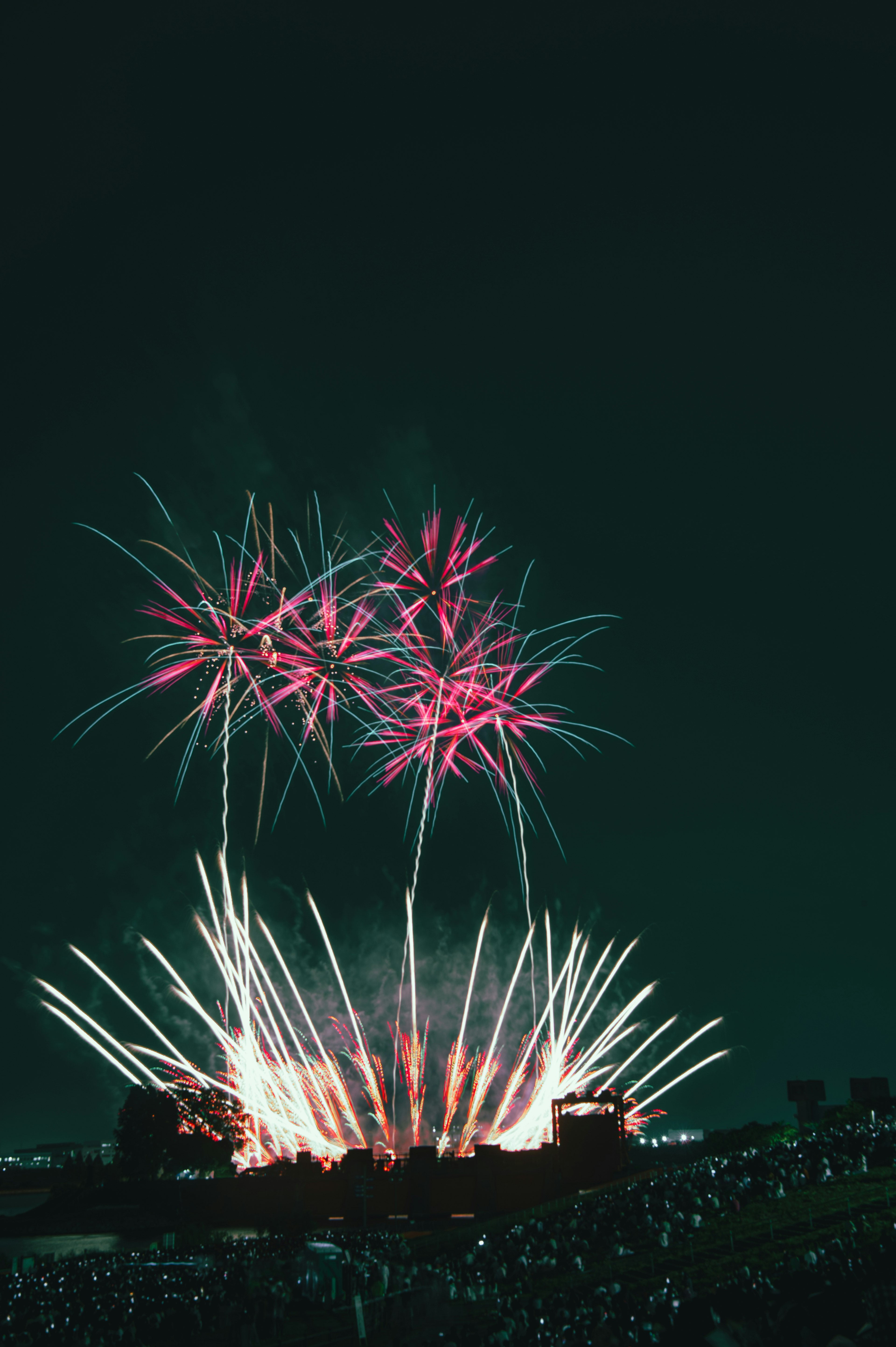 Moment magnifique de feux d'artifice fleurissant dans le ciel nocturne