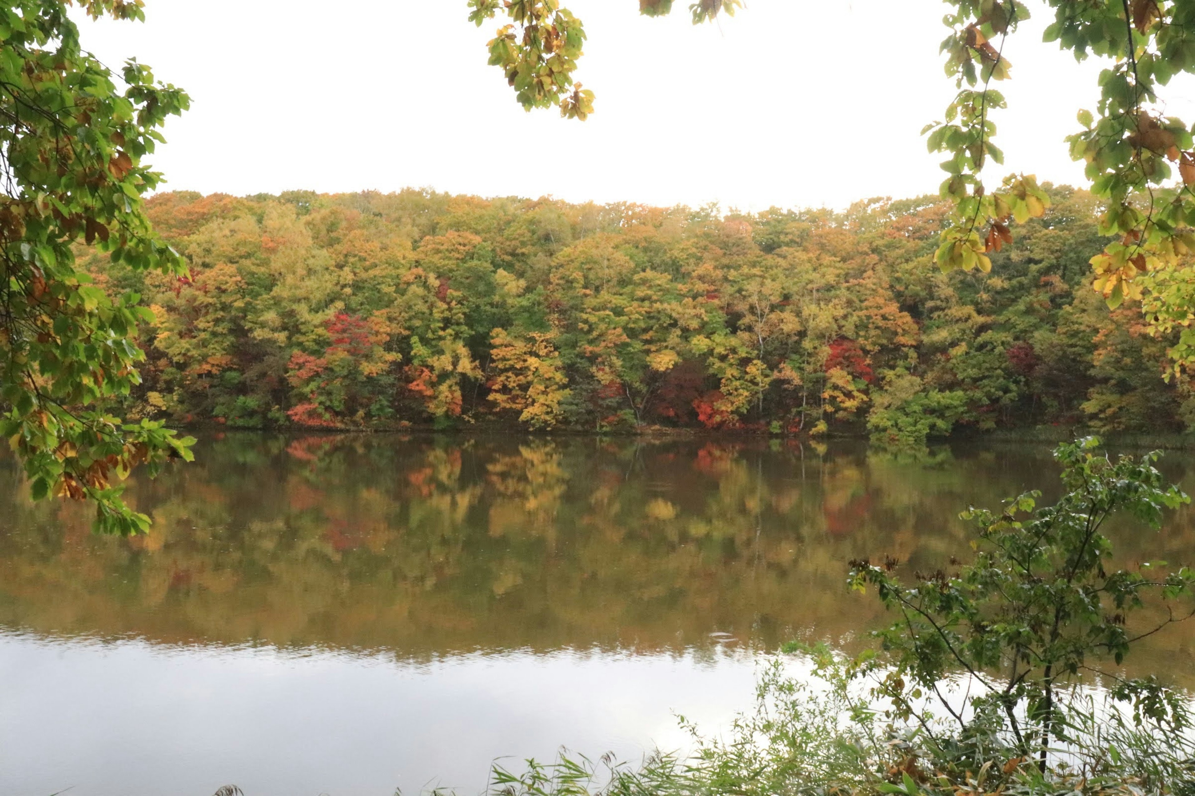 Ruhige Seesicht mit herbstlich gefärbten Blättern