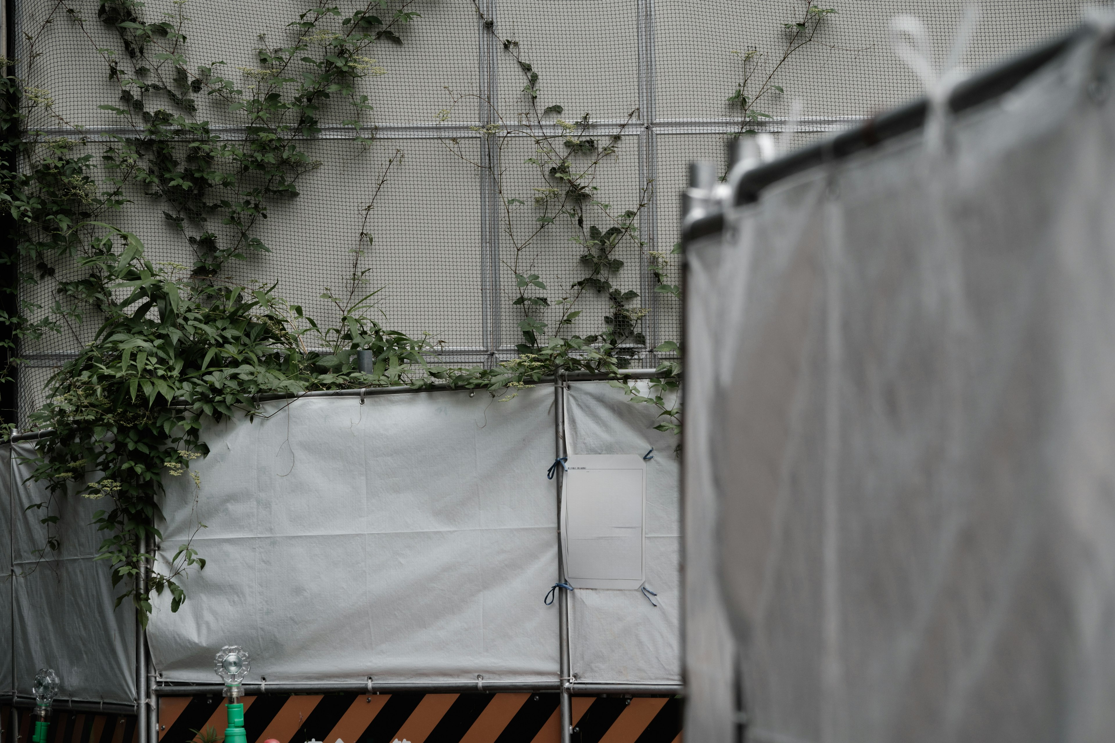 Part of a wall covered with white fabric and green vines