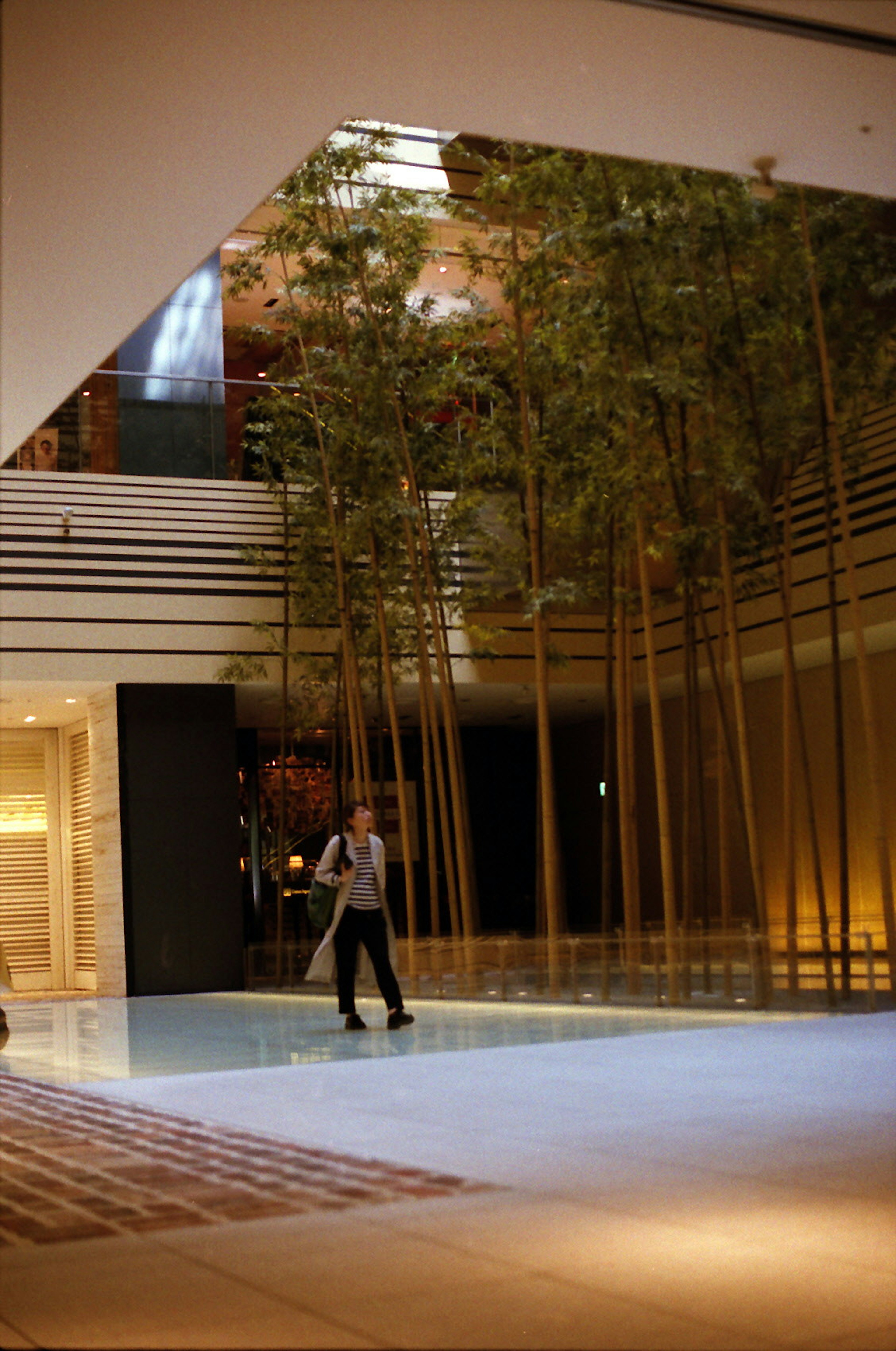 Modern lobby with bamboo trees and a person walking in the center