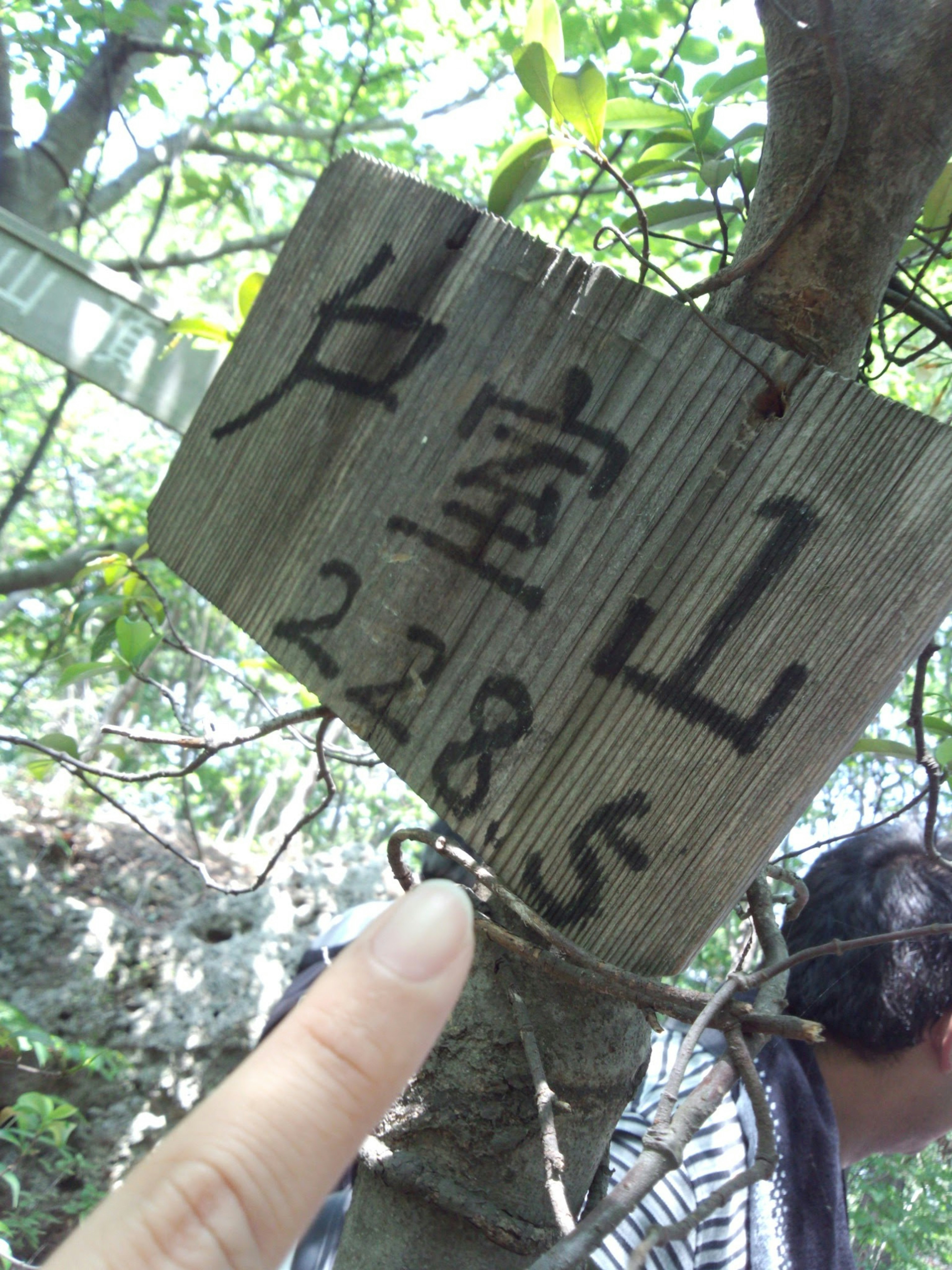 Eine Hand zeigt auf ein Holzschild mit chinesischen Zeichen und Zahlen an einem Baum