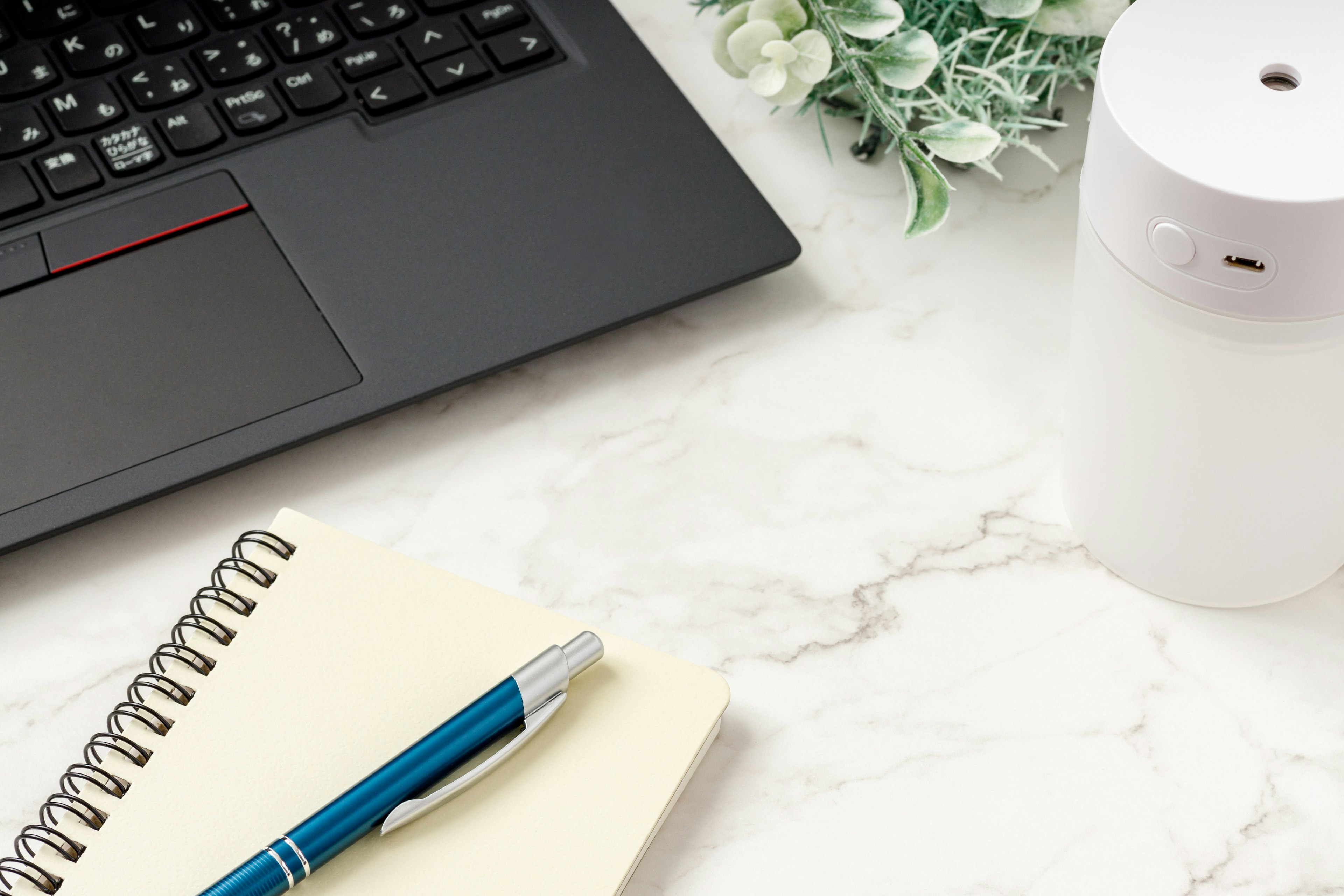 A desktop scene featuring a laptop notebook pen and a plant on a marble table