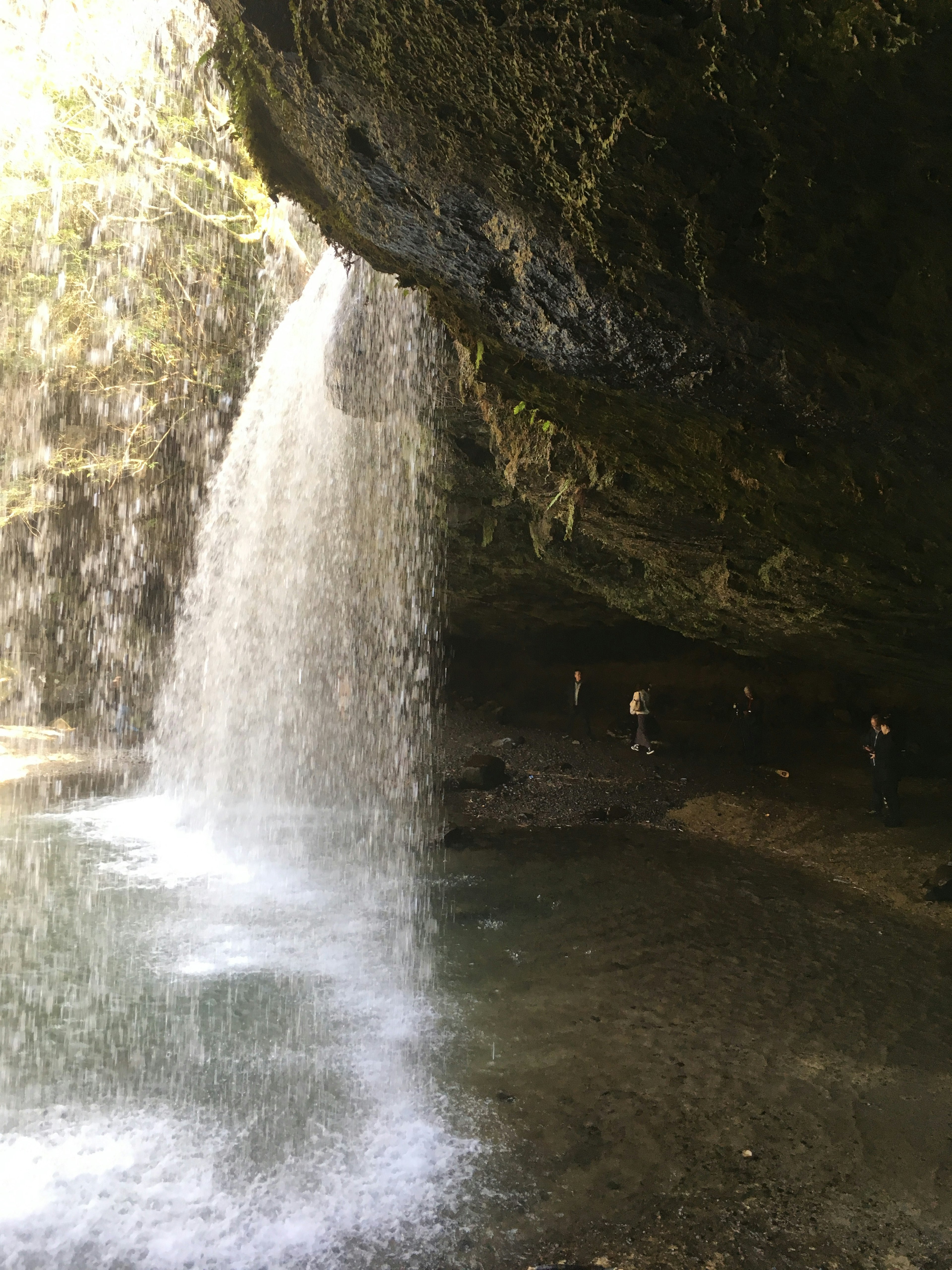 Vue intérieure d'une grotte près d'une cascade eau tombant sur des rochers couverts de mousse