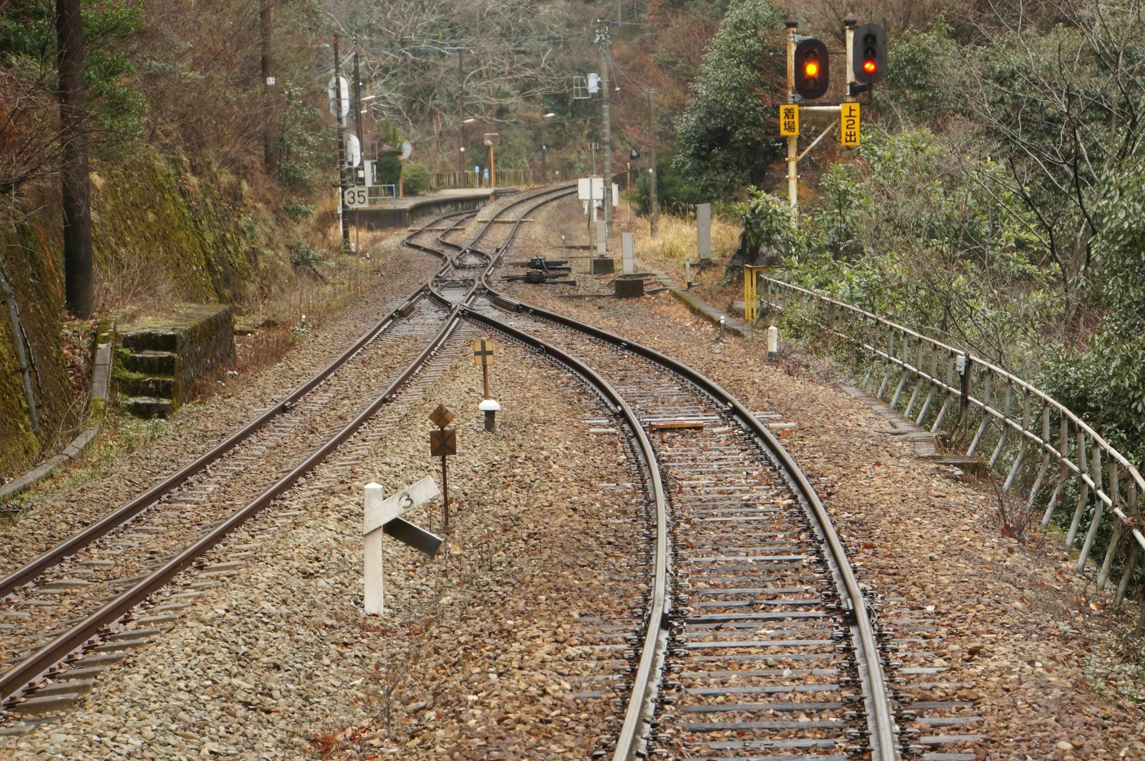 Railroad junction with signals and surrounding nature