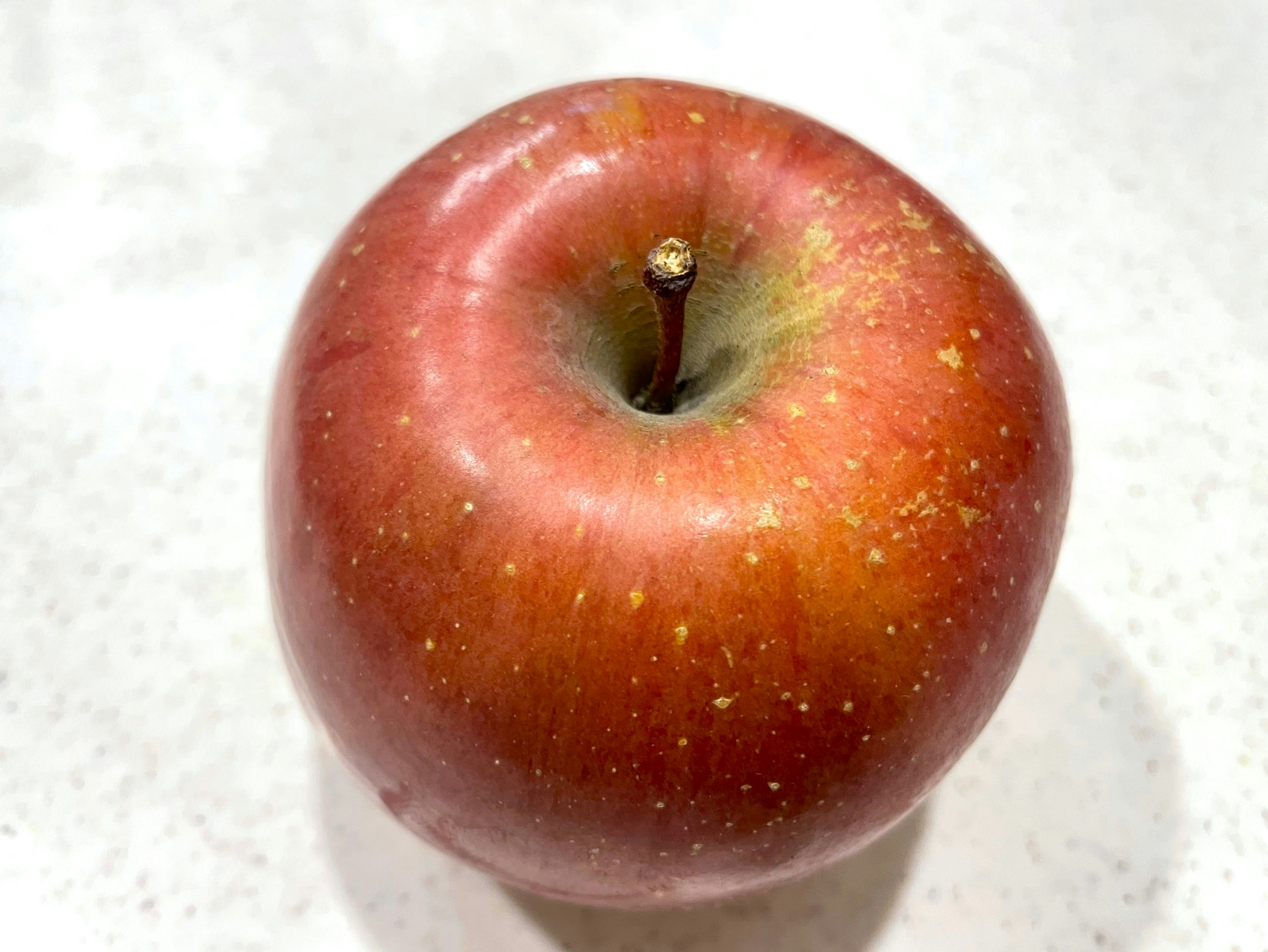 Una manzana roja sobre un fondo blanco