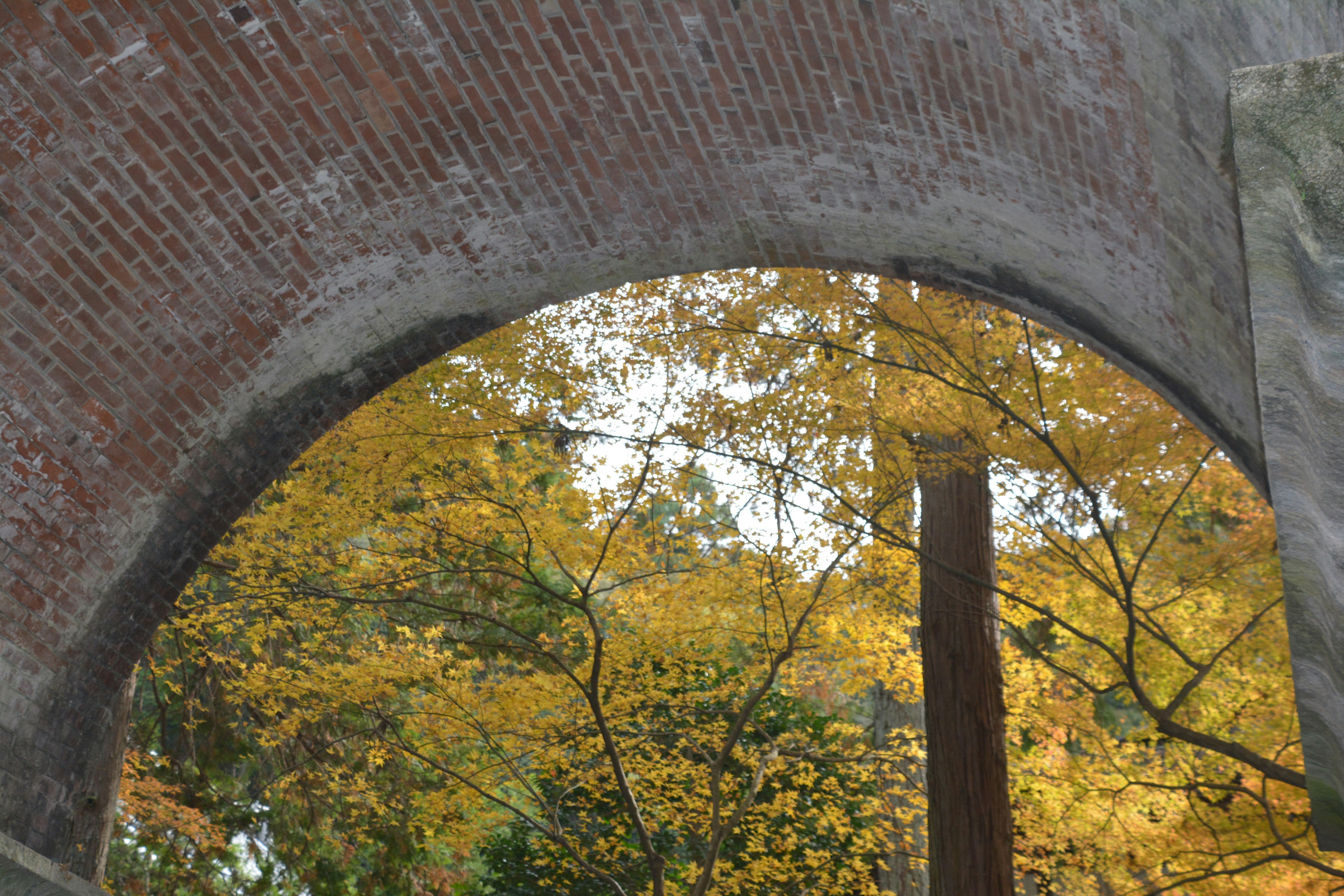 Vista attraverso un arco con alberi autunnali di tonalità gialla