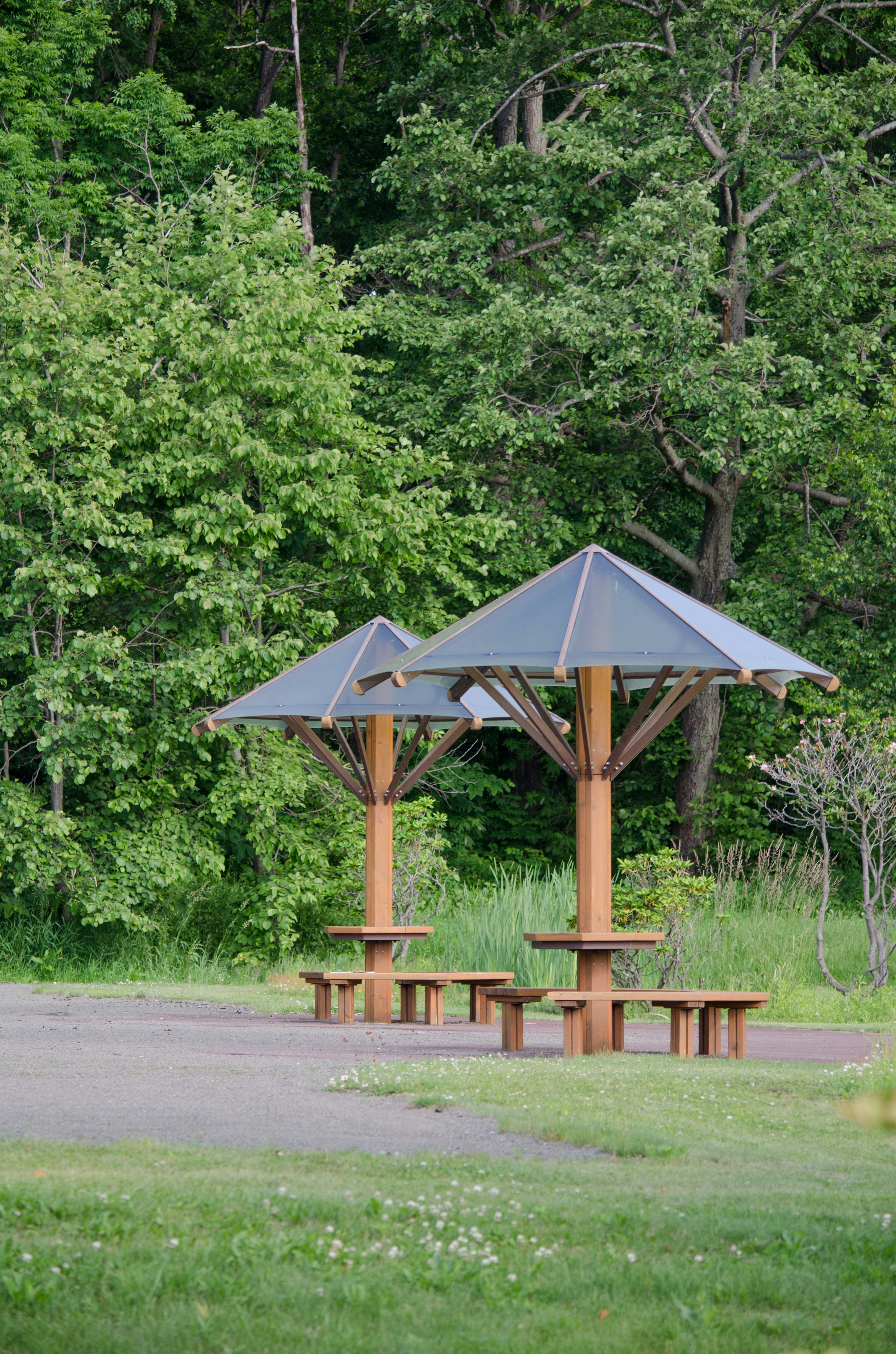 Holztische mit Überdachungen in einem üppig grünen Park