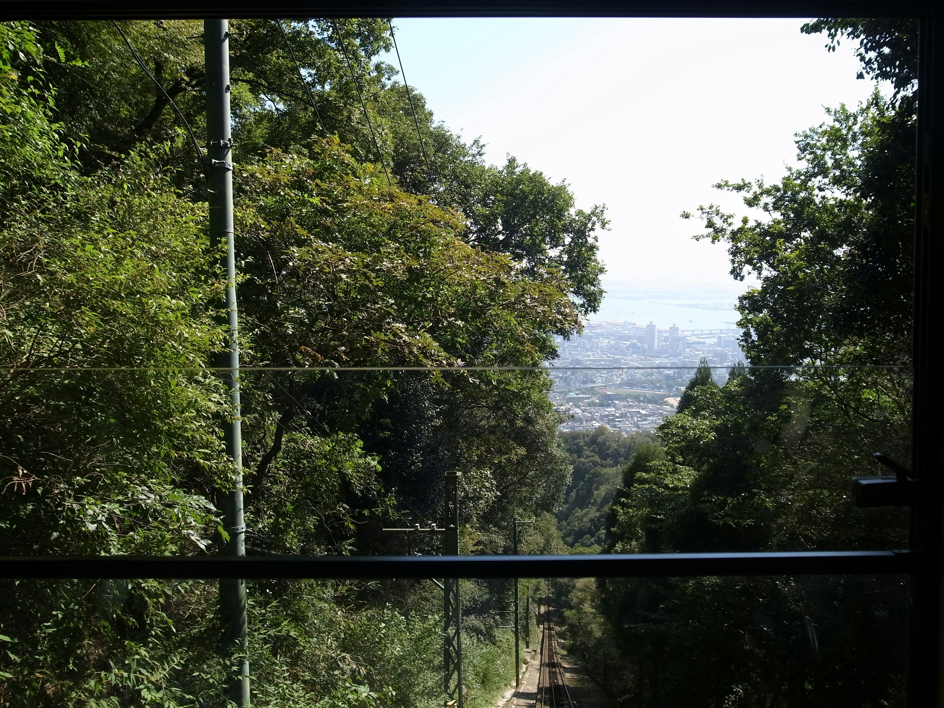 緑豊かな木々と鉄道の景色が見える風景