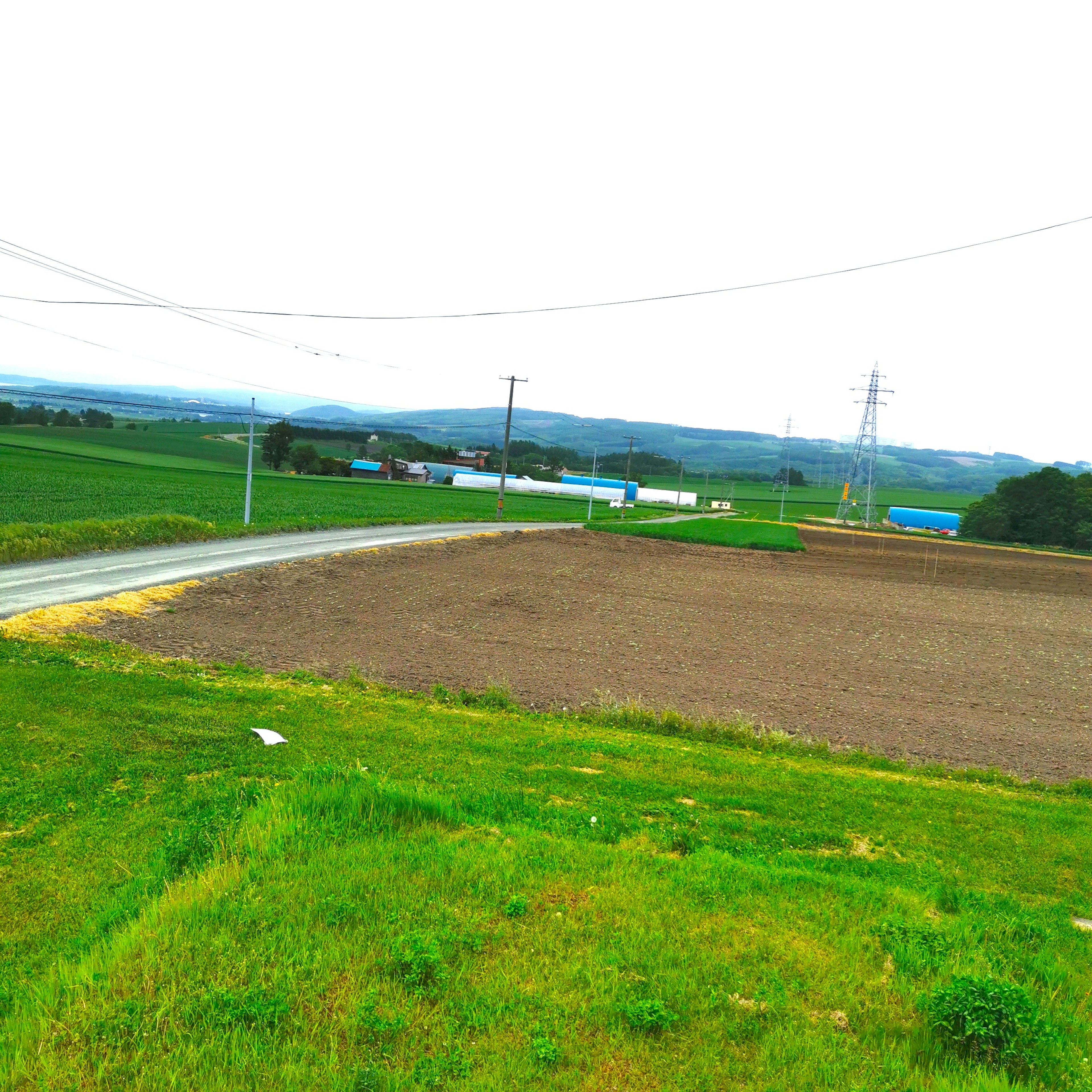 Landschaft mit grünem Gras und gepflügtem Ackerland mit fernen Bergen und Stromleitungen