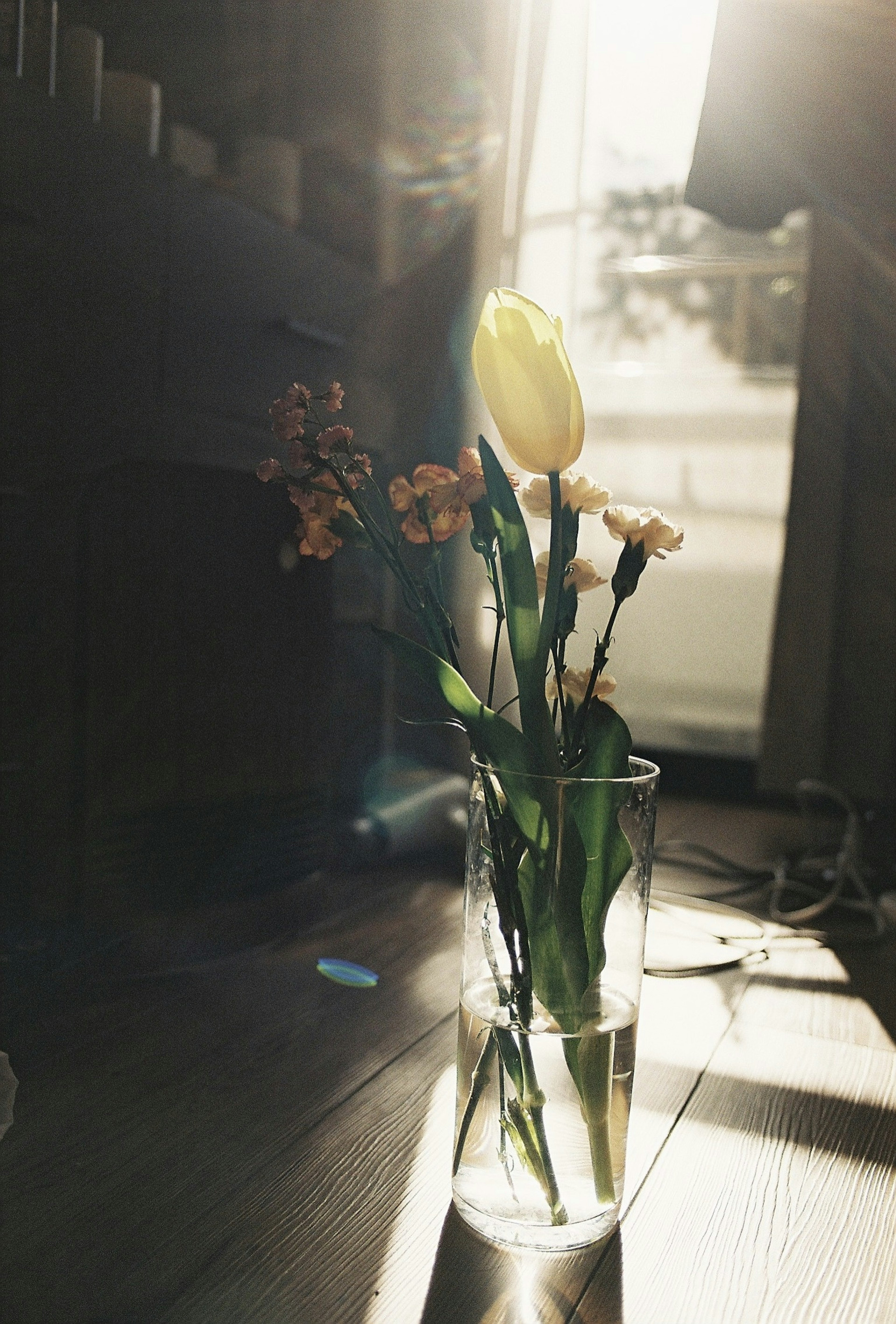 A serene indoor scene featuring a yellow tulip and other flowers in a clear vase