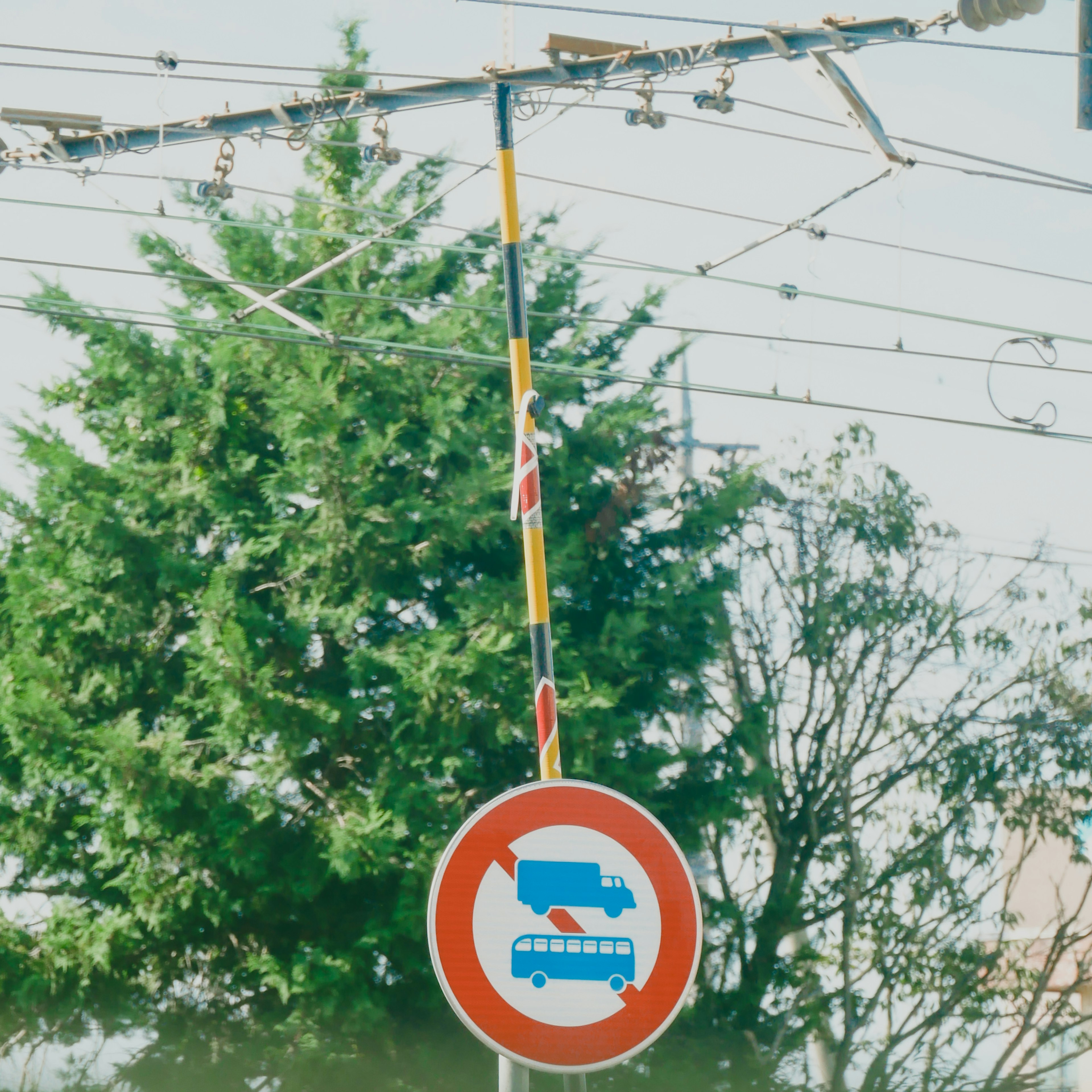 Schild für Fahrverbot für Lkw mit grünem Baum im Hintergrund