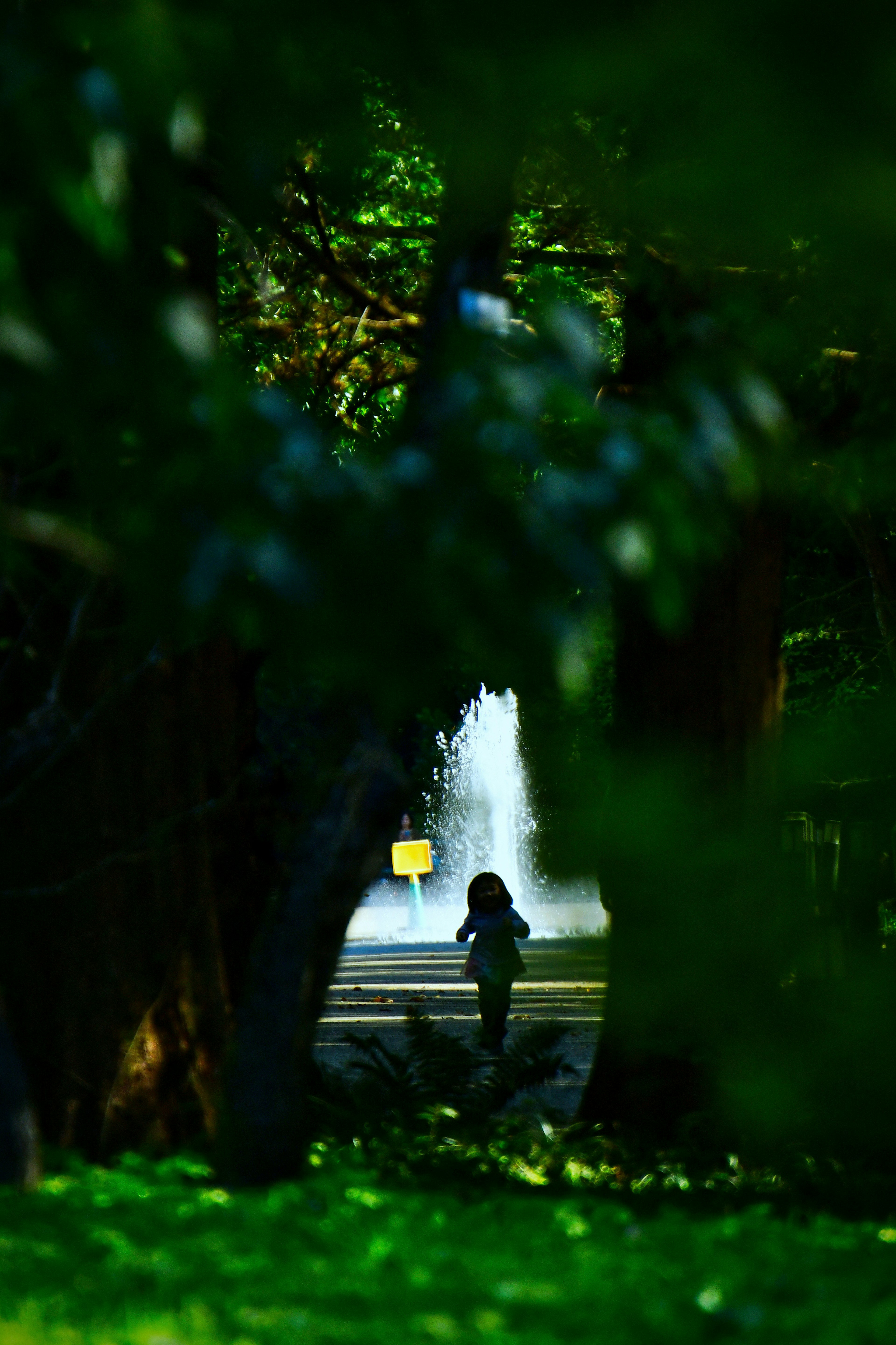 Une personne se tenant devant une fontaine visible à travers un feuillage vert