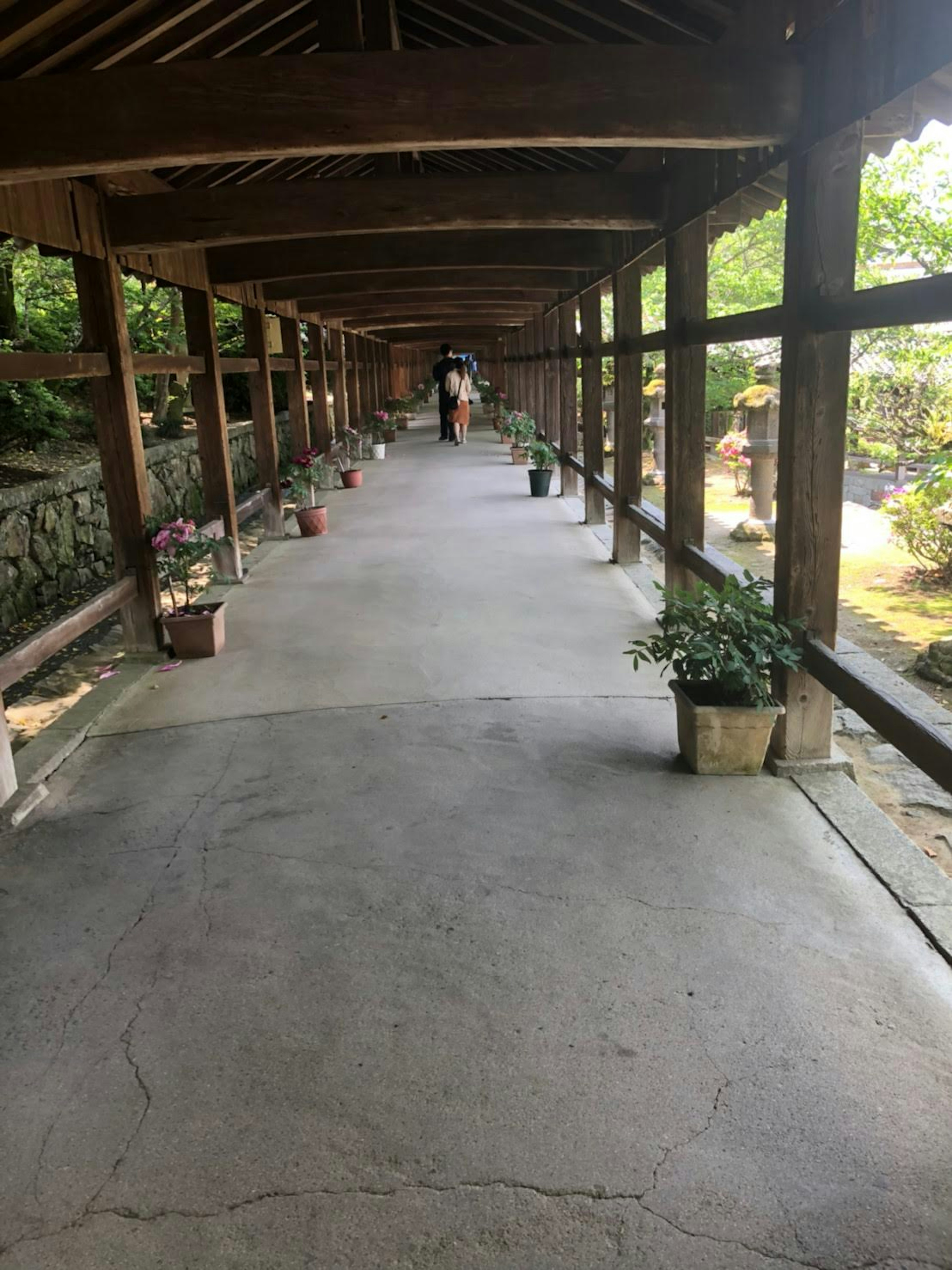 Long wooden corridor with potted plants along the sides