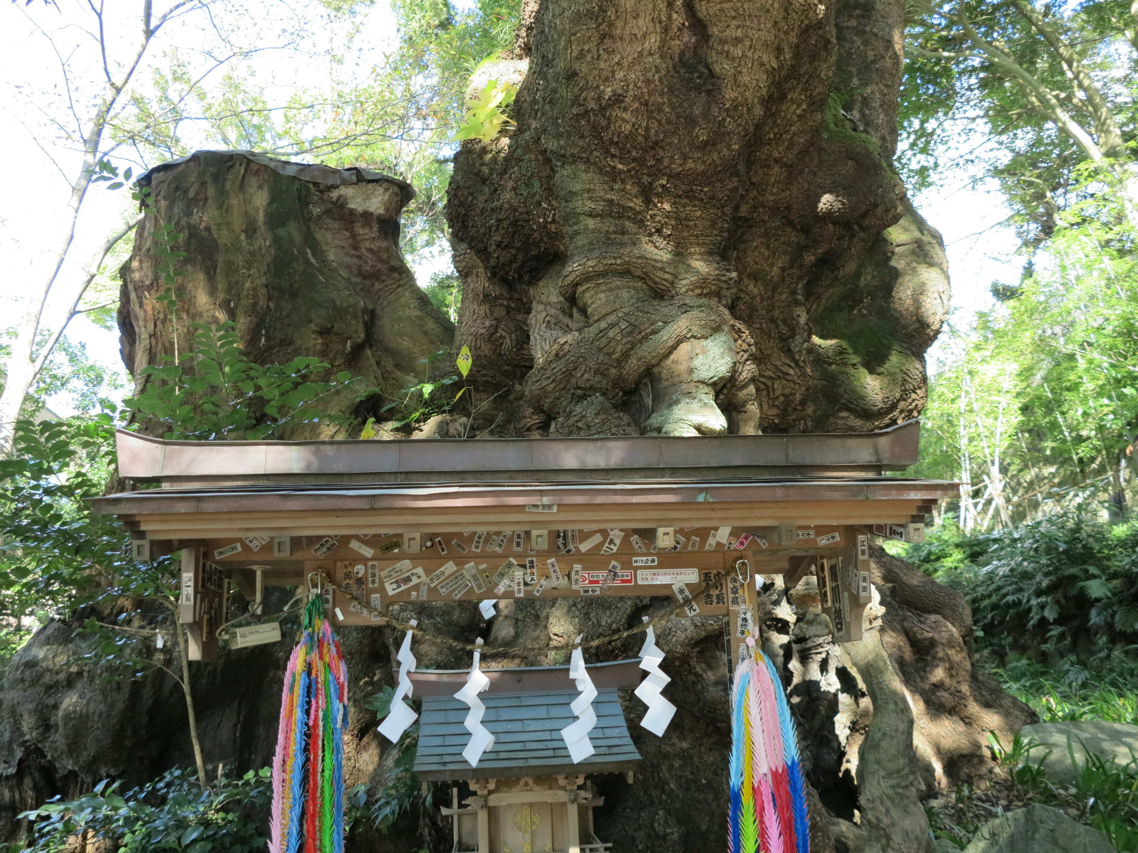 A shrine-like structure at the base of an ancient tree in a lush green setting