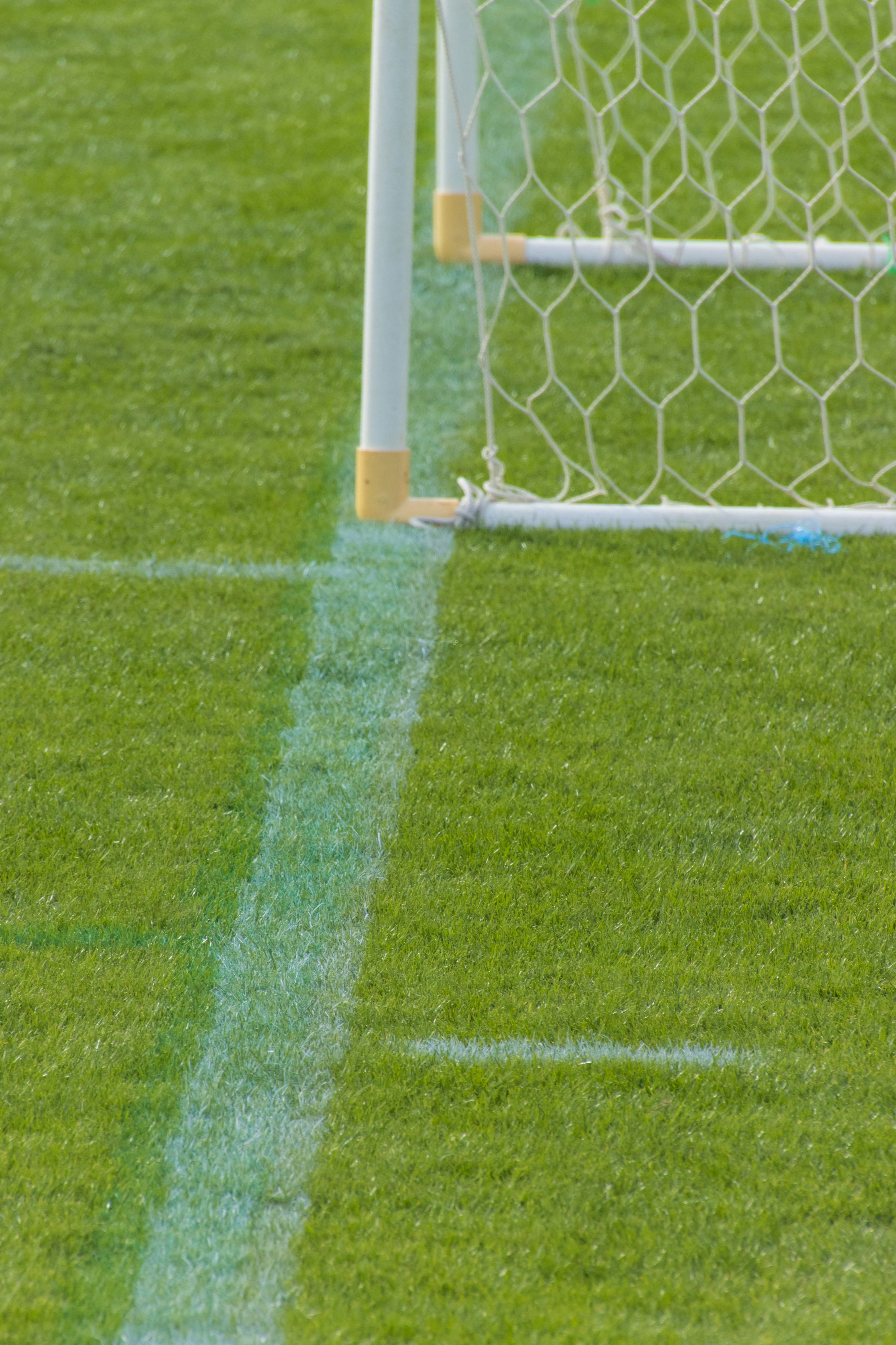 Close-up of a soccer goal with green grass and white netting