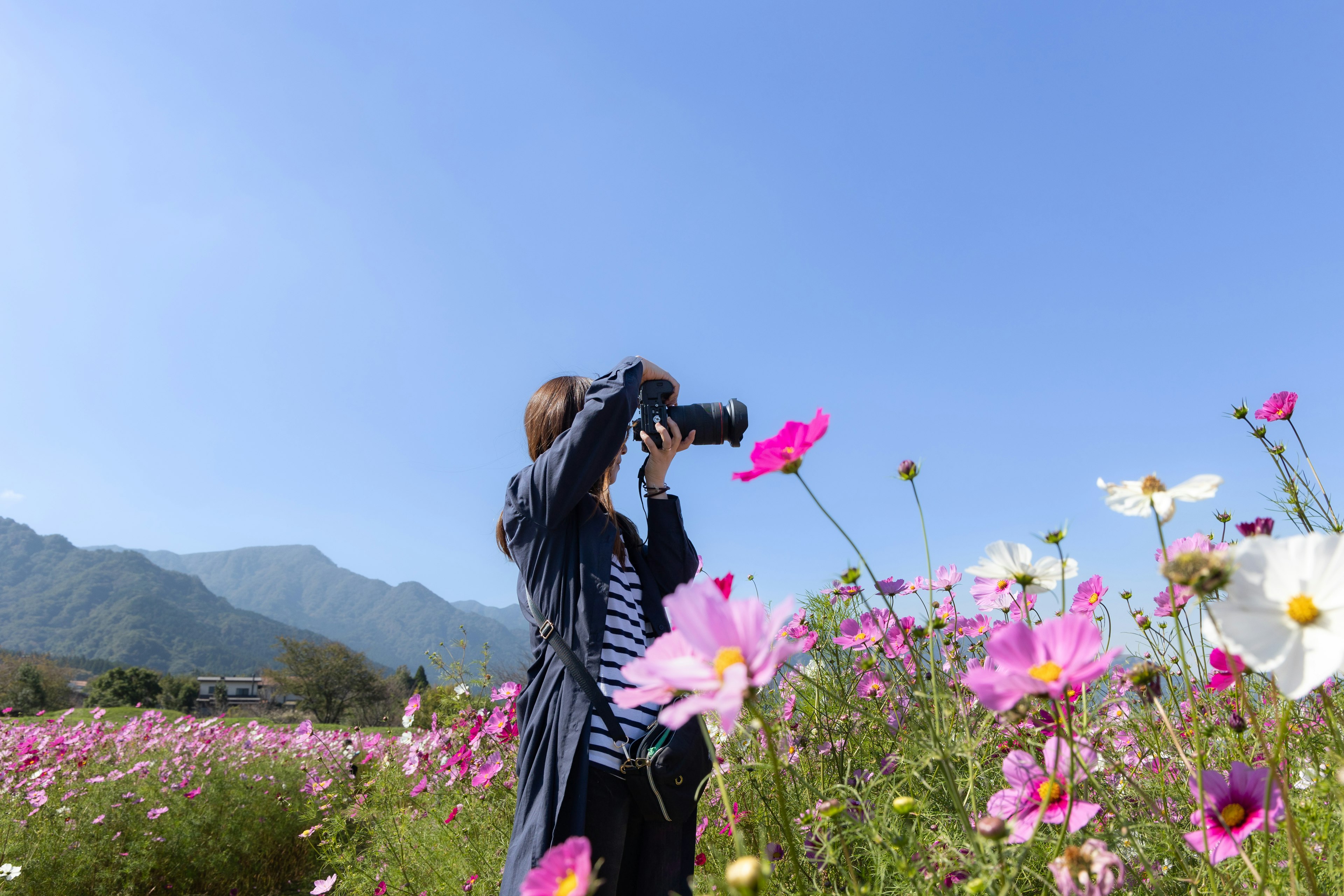 花畑でカメラを構える人物青空と山々が背景