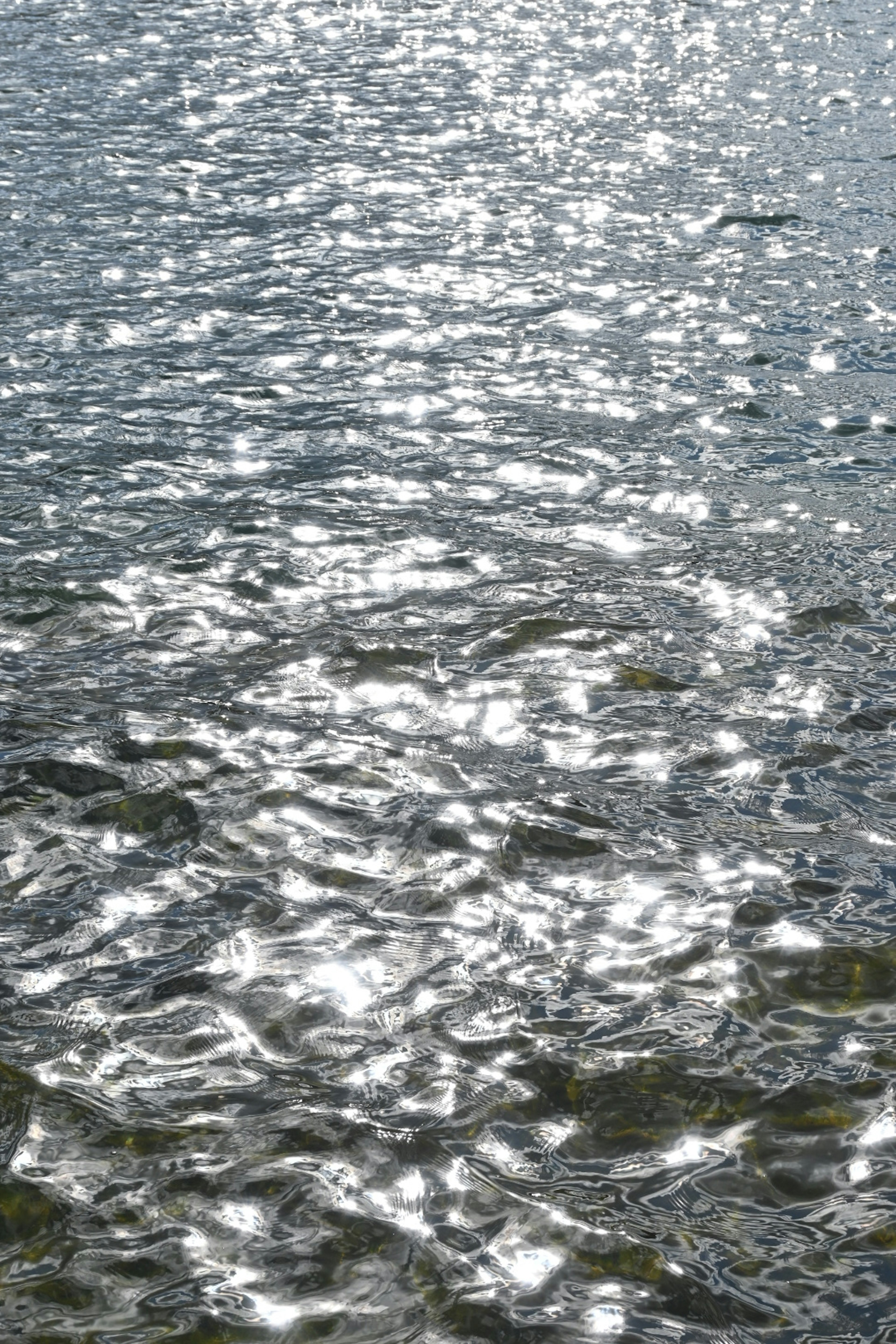 Schöne Szene mit schimmerndem Licht, das sich auf der Wasseroberfläche spiegelt