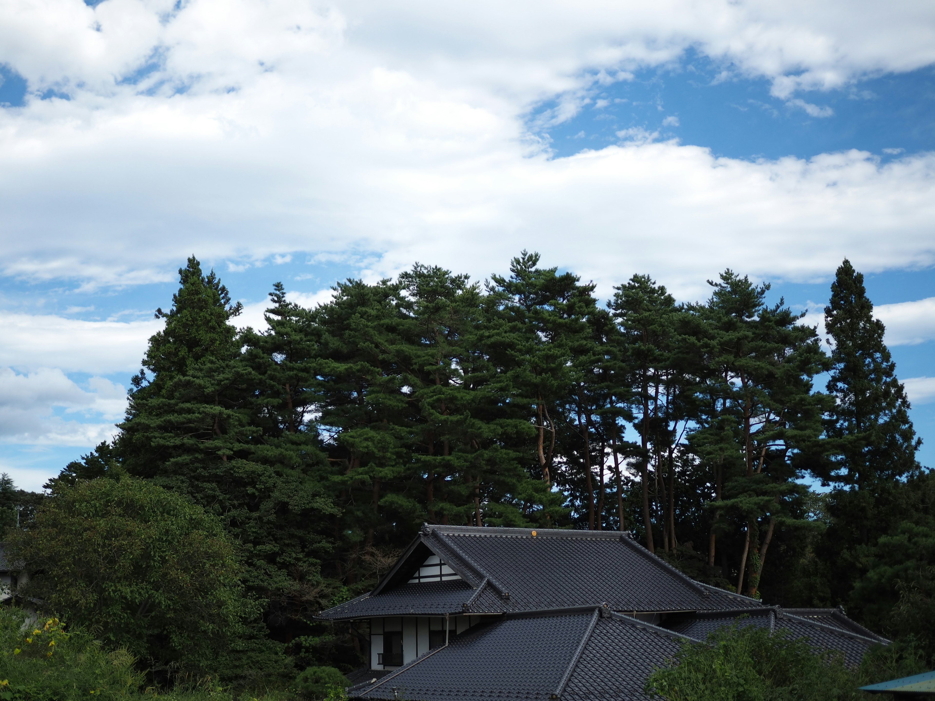 青空の下にある日本の伝統的な家屋と緑豊かな木々