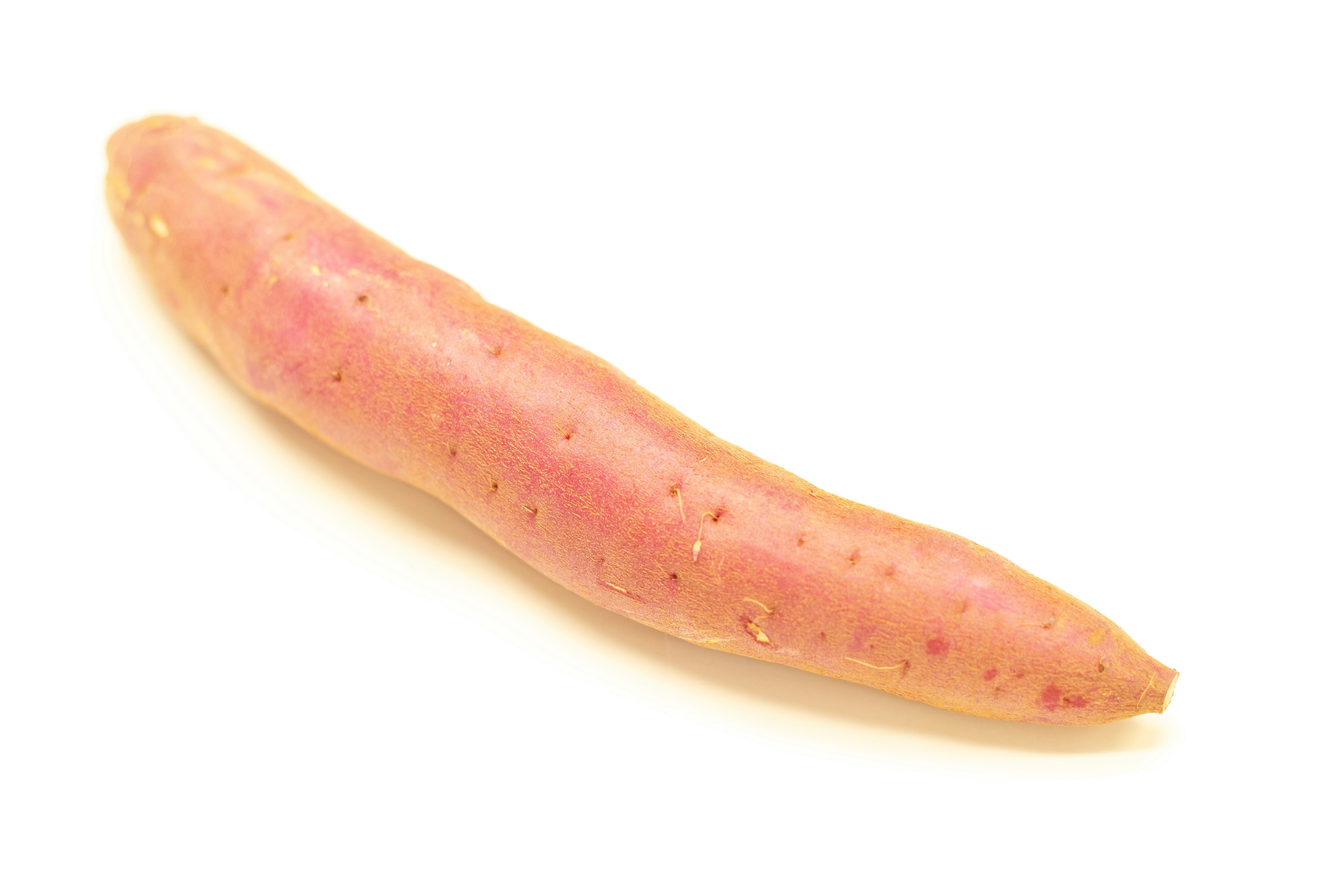 A long sweet potato with a pinkish skin