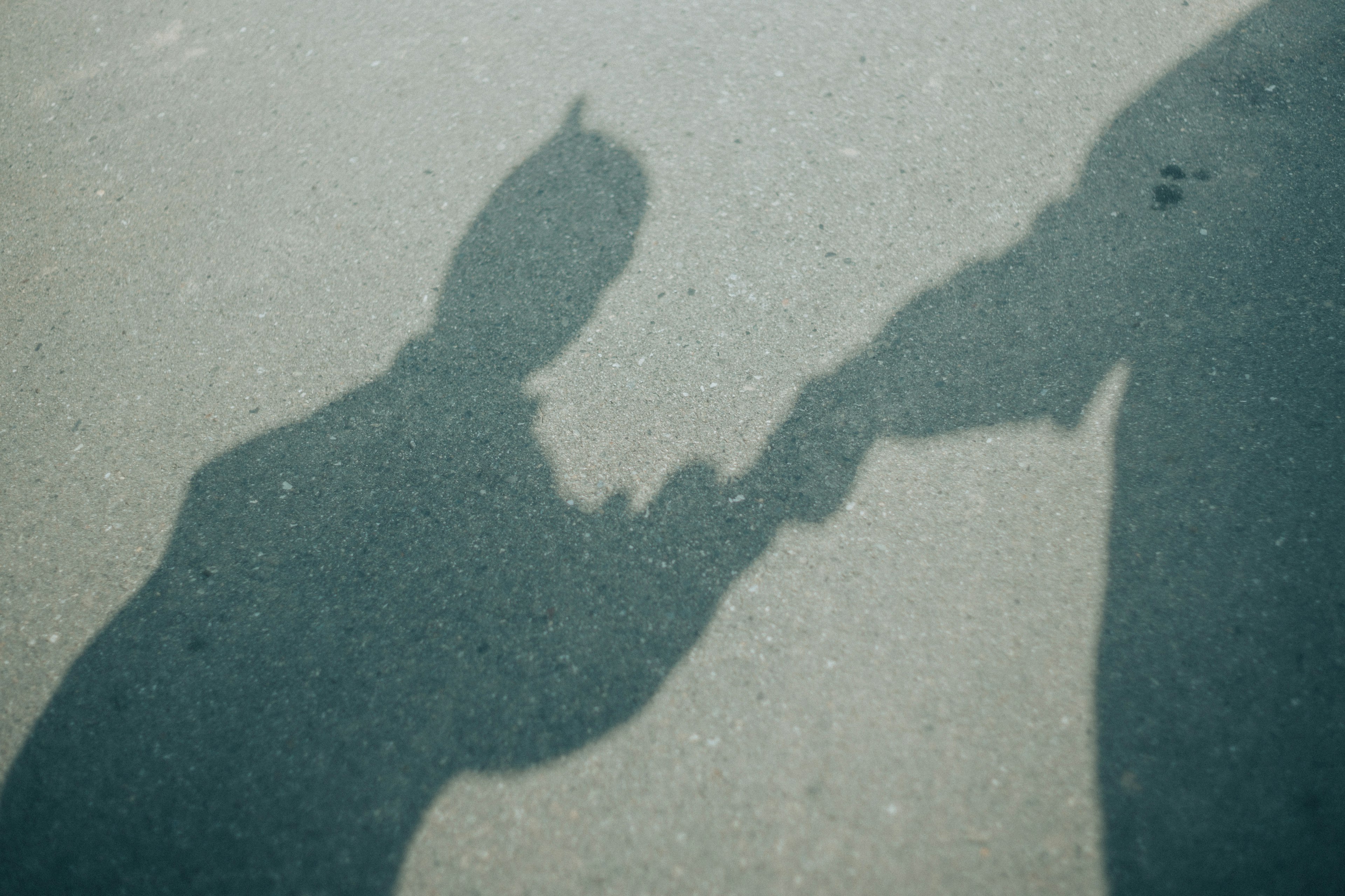 Silhouette di un bambino e un adulto che si tengono per mano nell'ombra